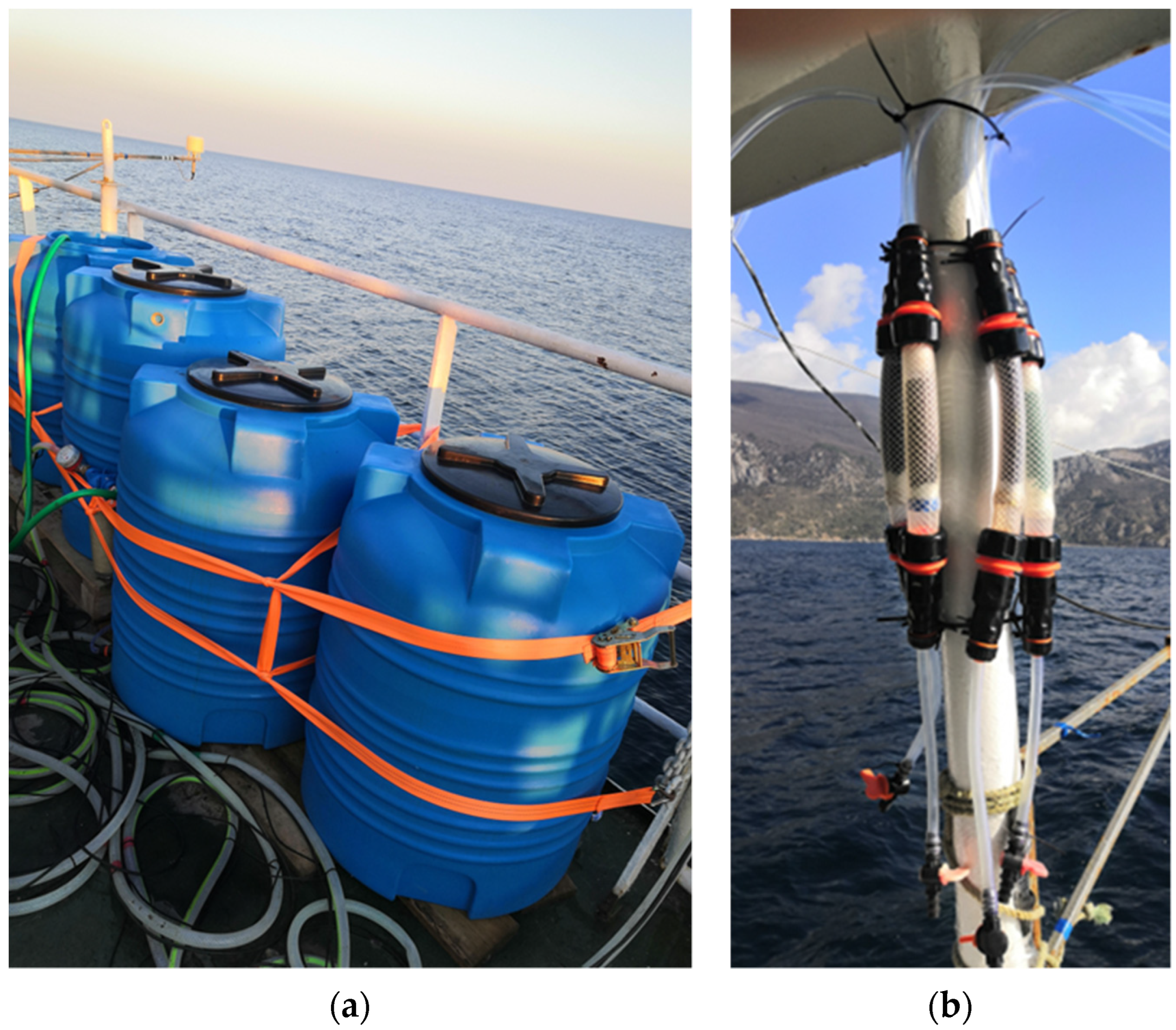 Processes 11 00603 g001 Processes 11 00603 g001