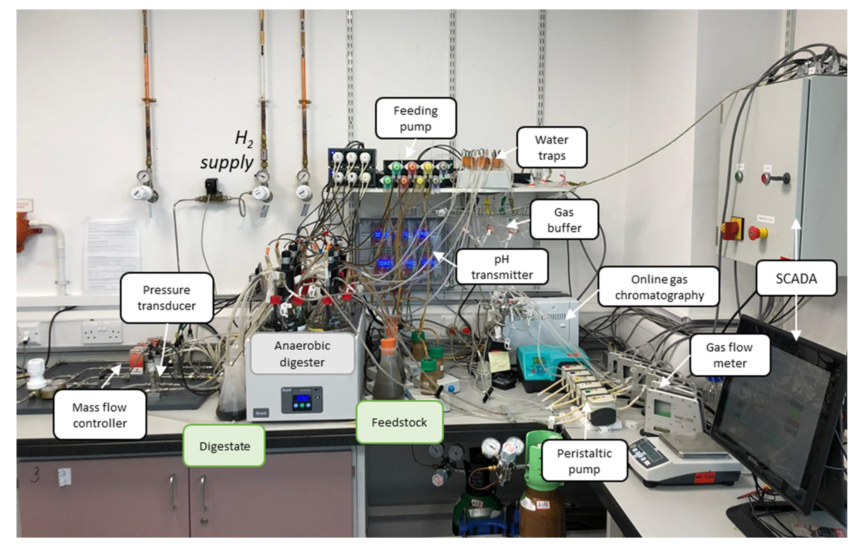 Processes 11 00604 g002