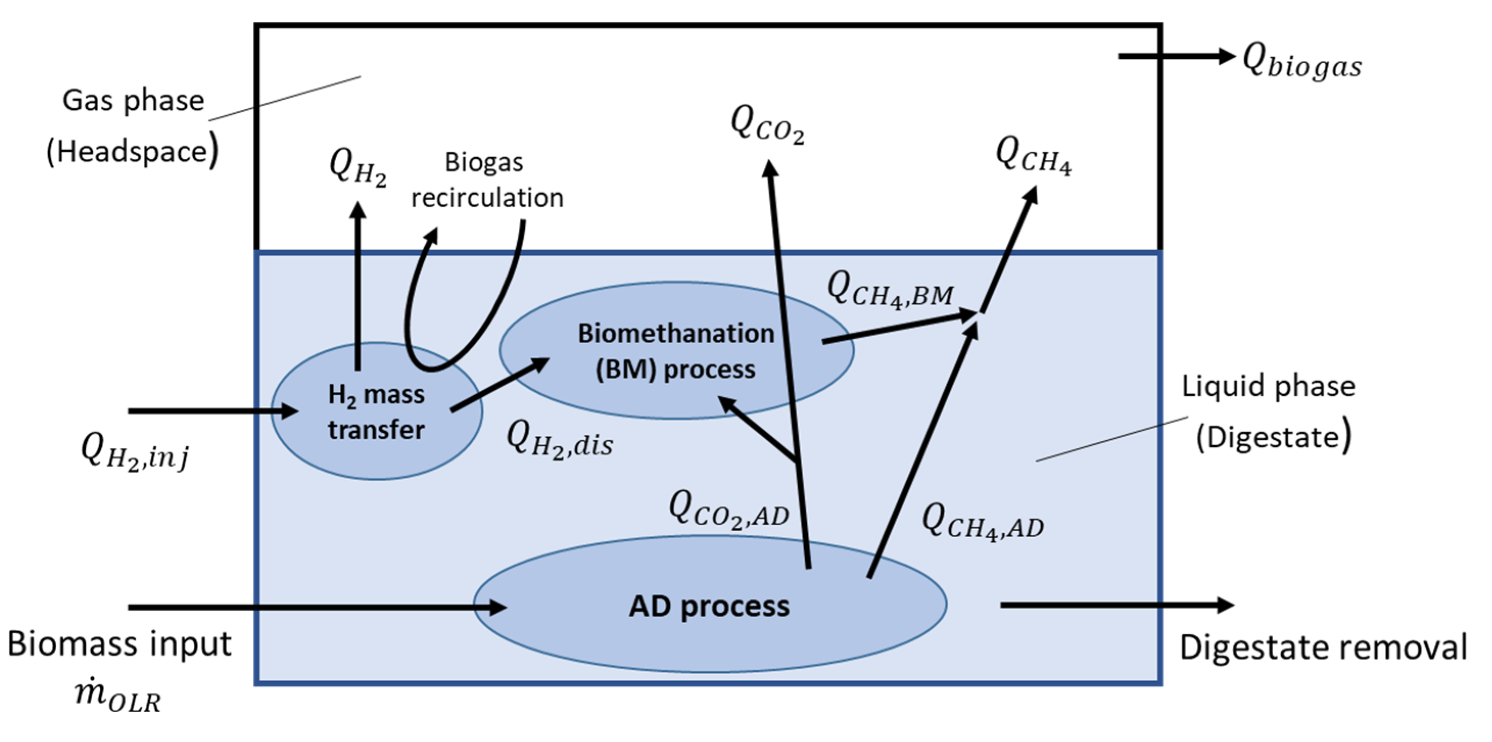 Processes 11 00604 g003