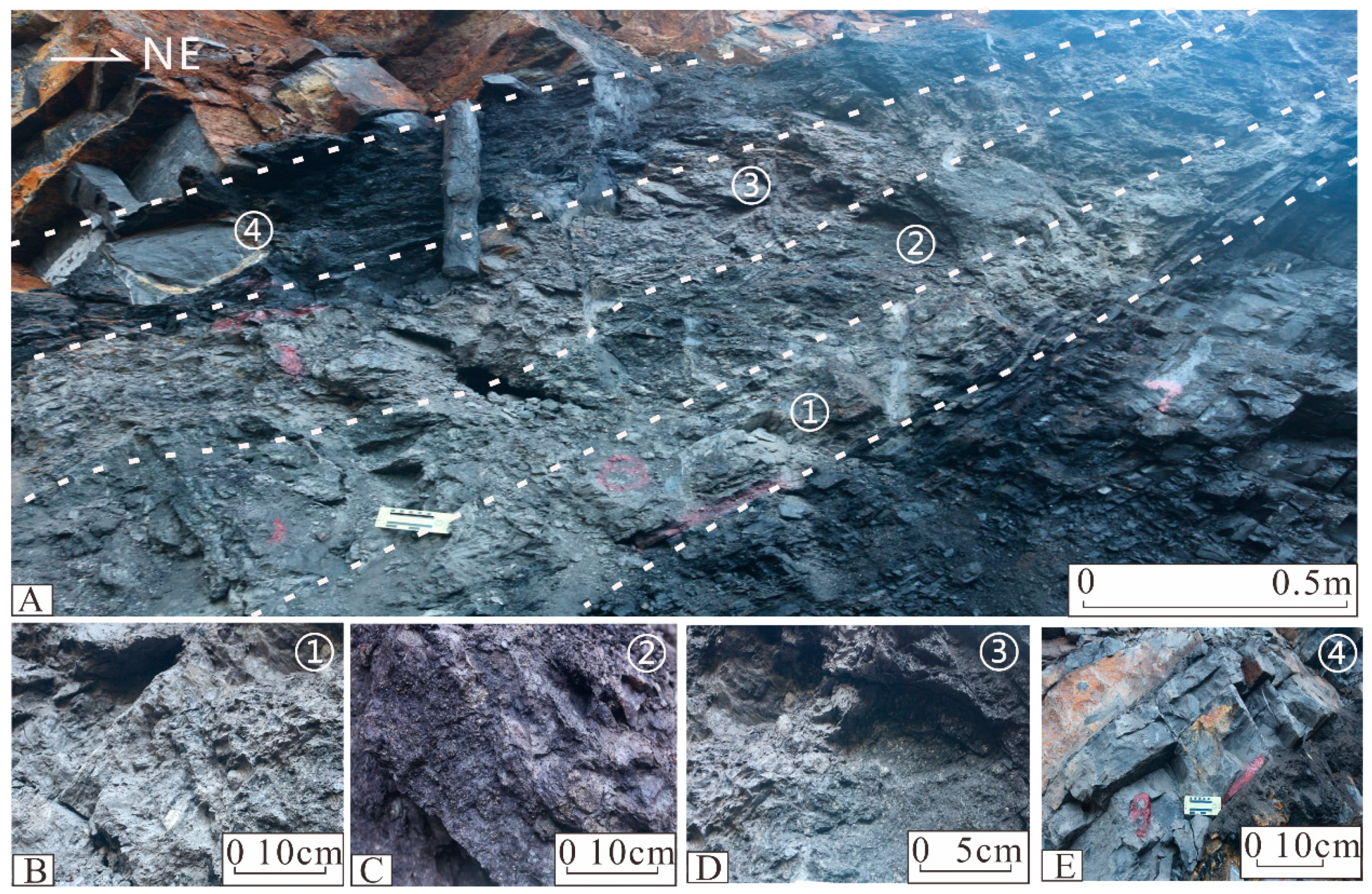 Processes 11 00625 g002