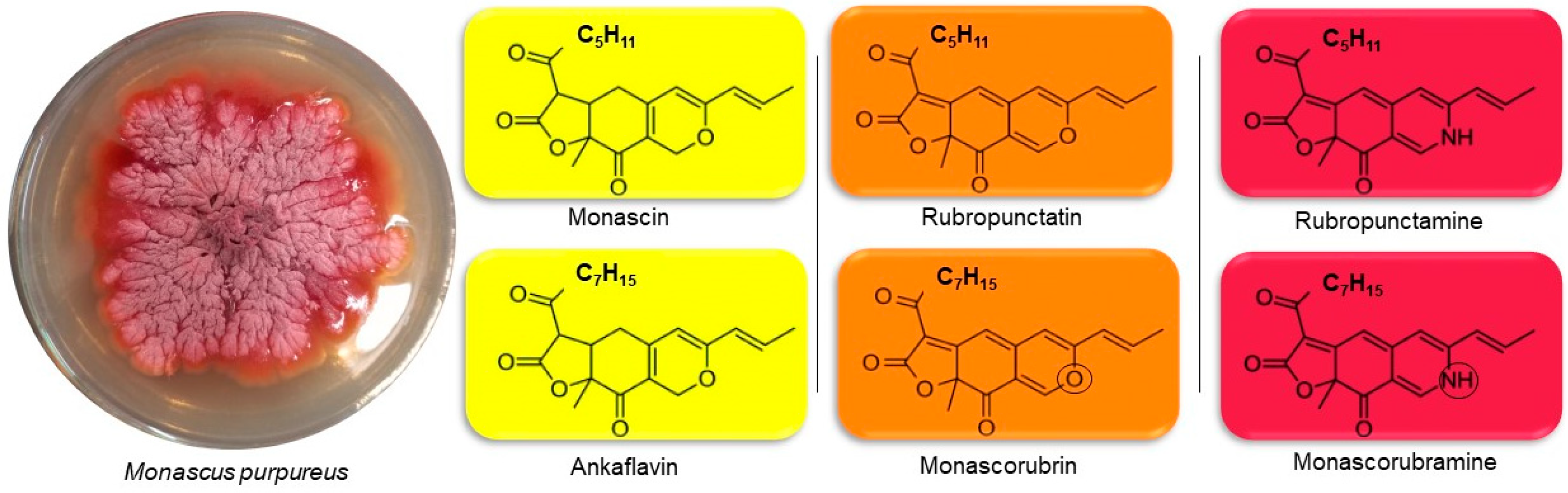 Processes 11 00633 g001 Processes 11 00633 g001