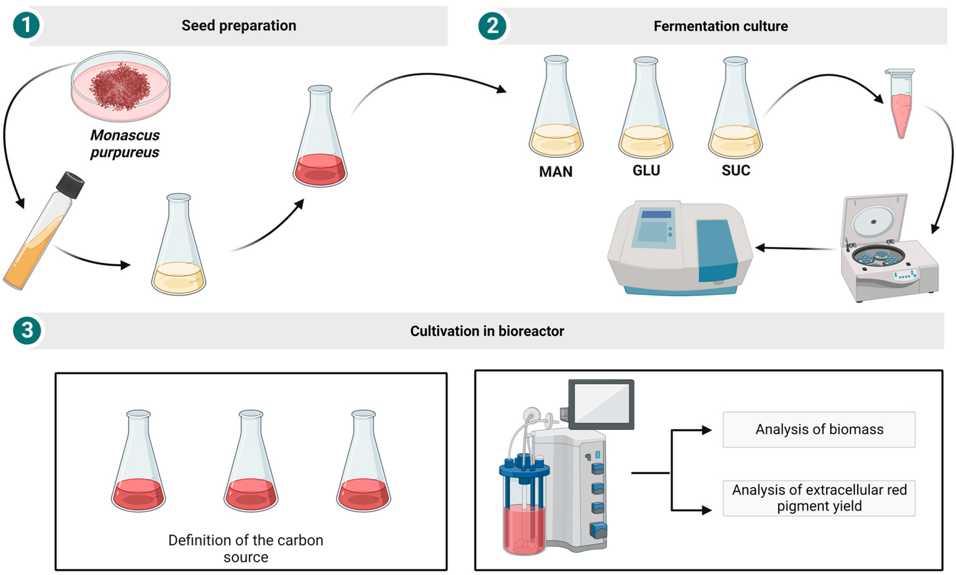 Processes 11 00633 g002 Processes 11 00633 g002