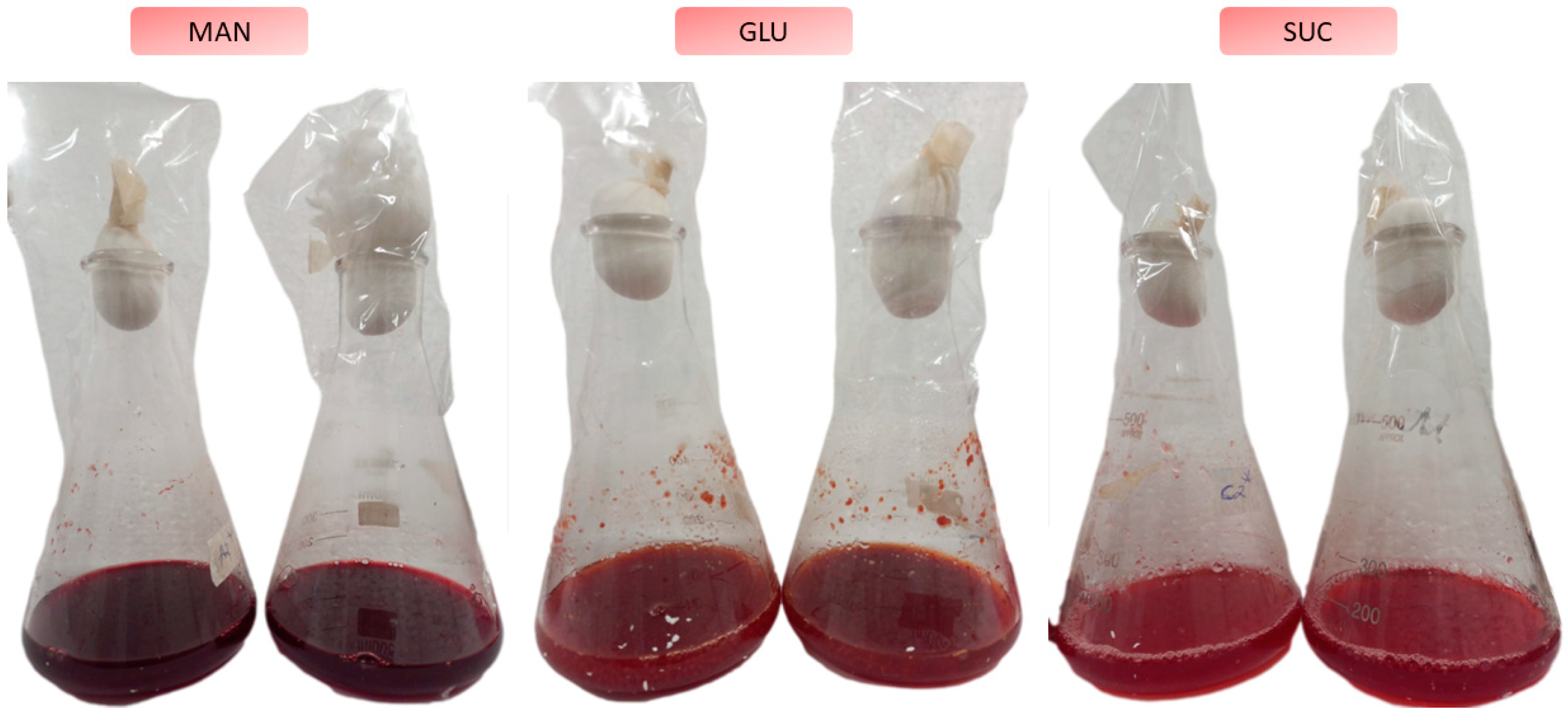 Processes 11 00633 g003 Processes 11 00633 g003