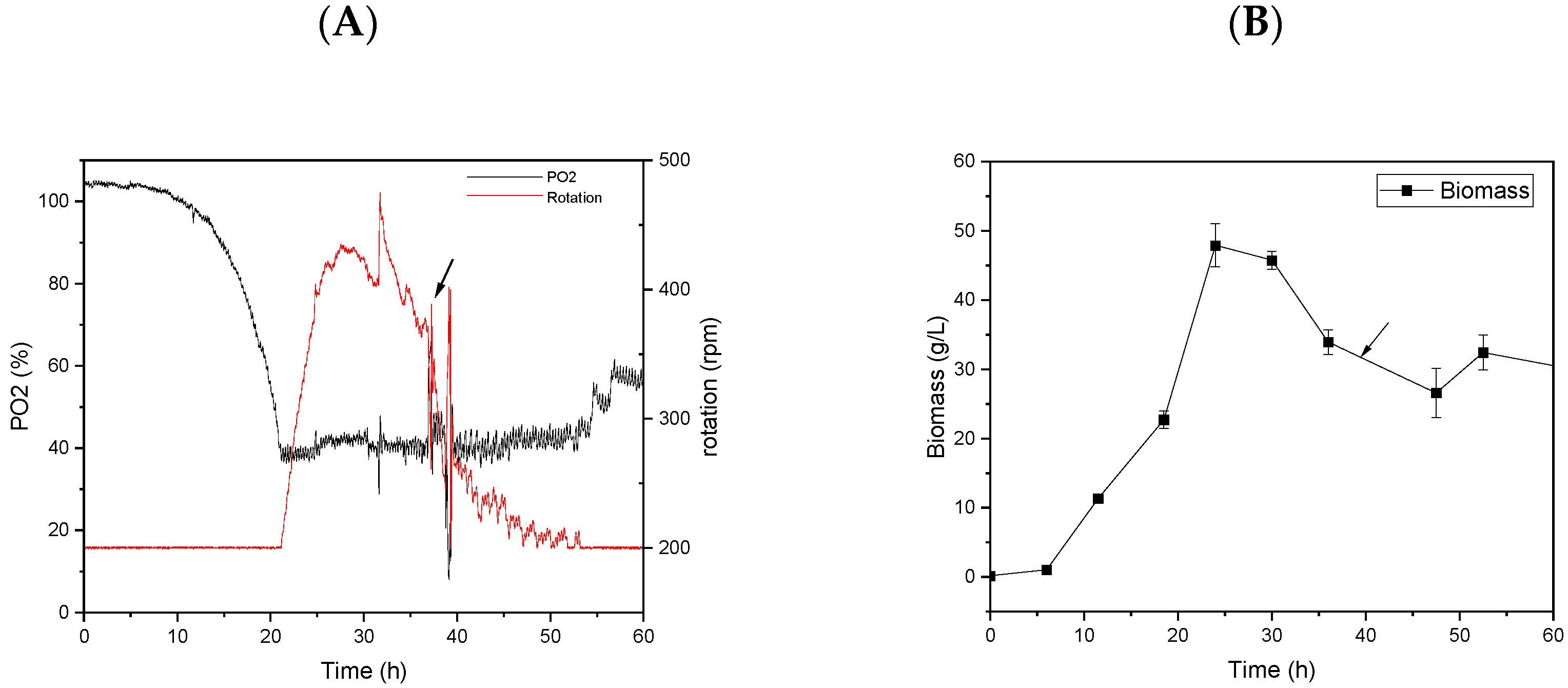 Processes 11 00633 g008 Processes 11 00633 g008