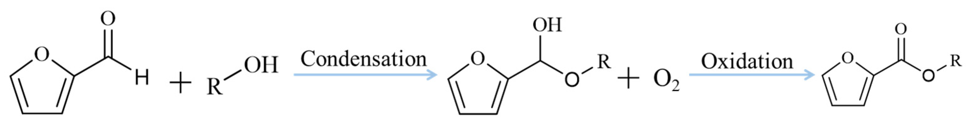 Processes 11 00640 g002