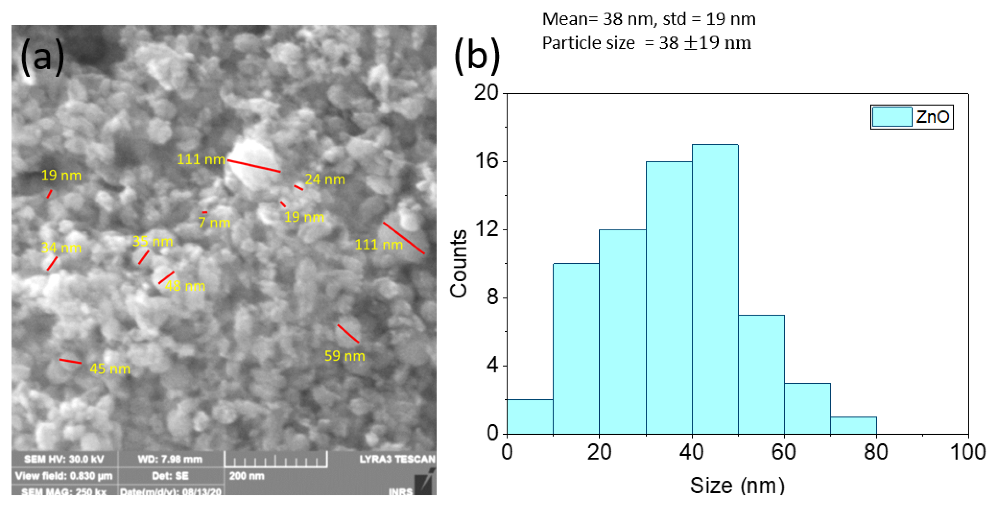 Processes 11 00642 g002 Processes 11 00642 g002