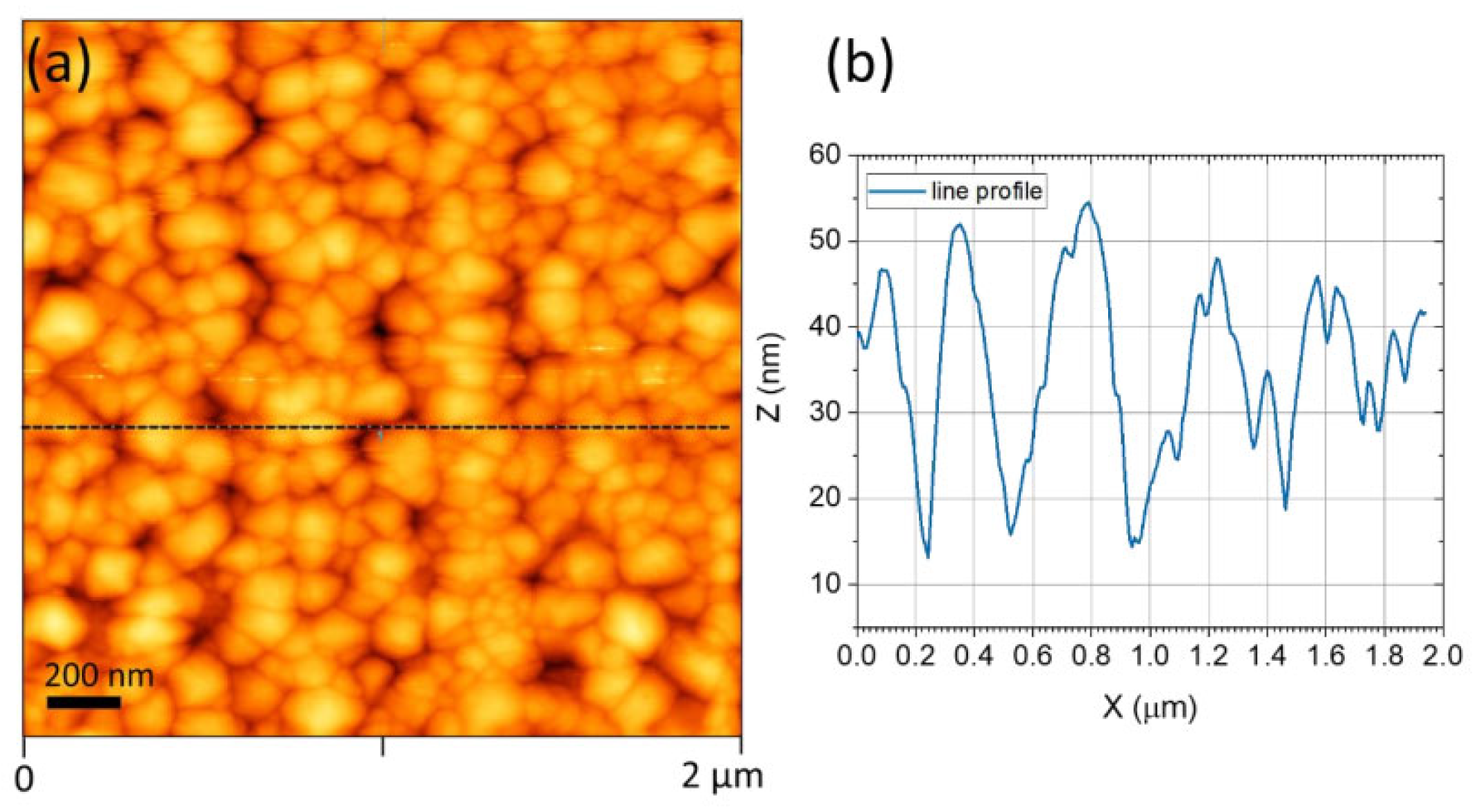 Processes | Free Full-Text | Evanescent-Field Excited Surface 