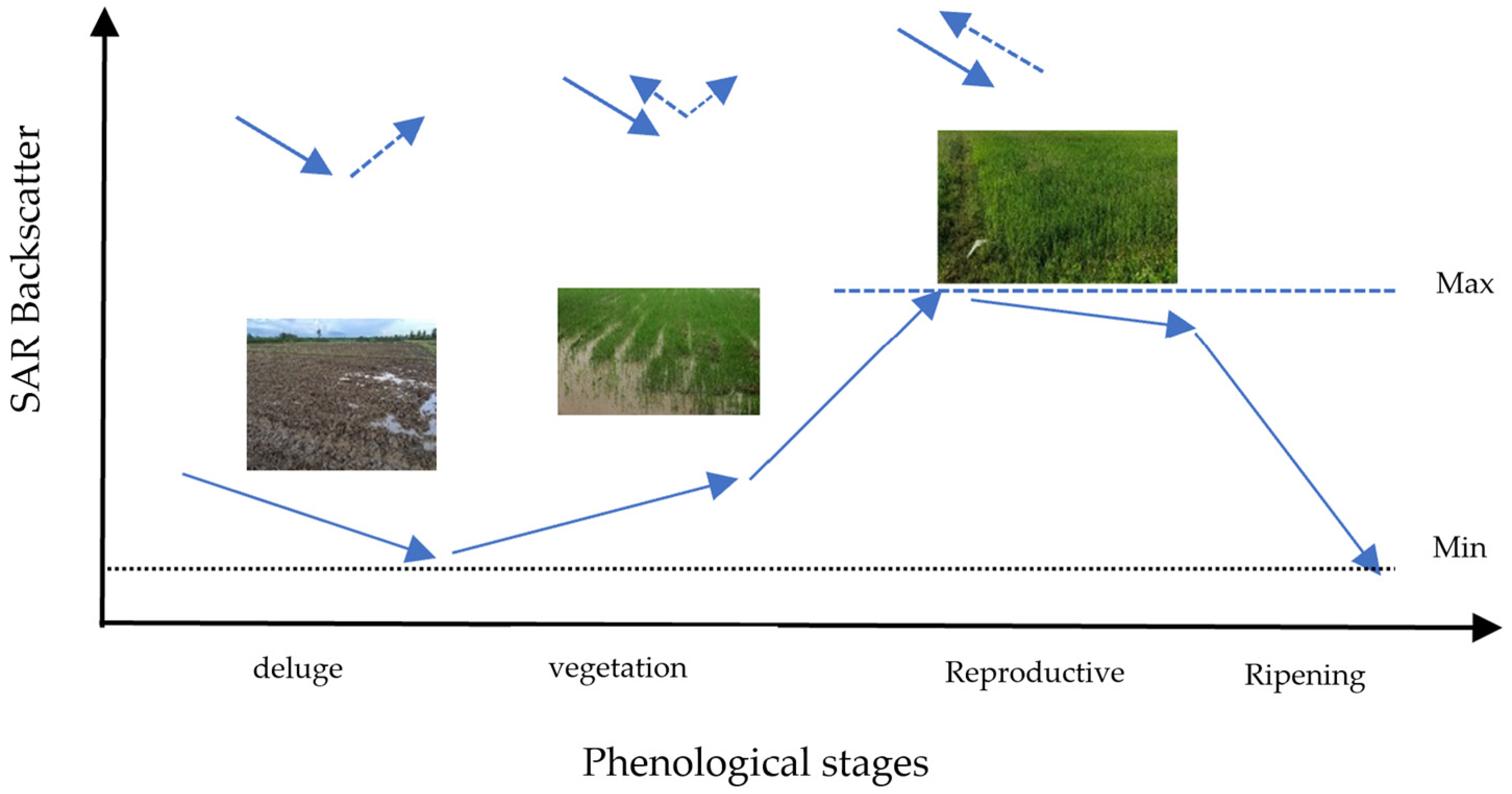 Processes 11 00647 g001
