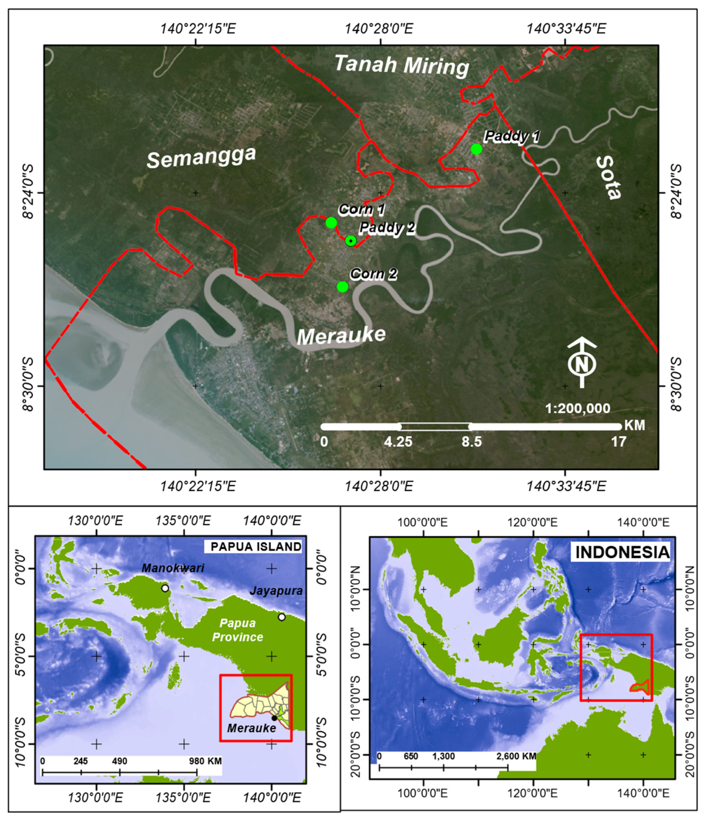 Processes 11 00647 g002