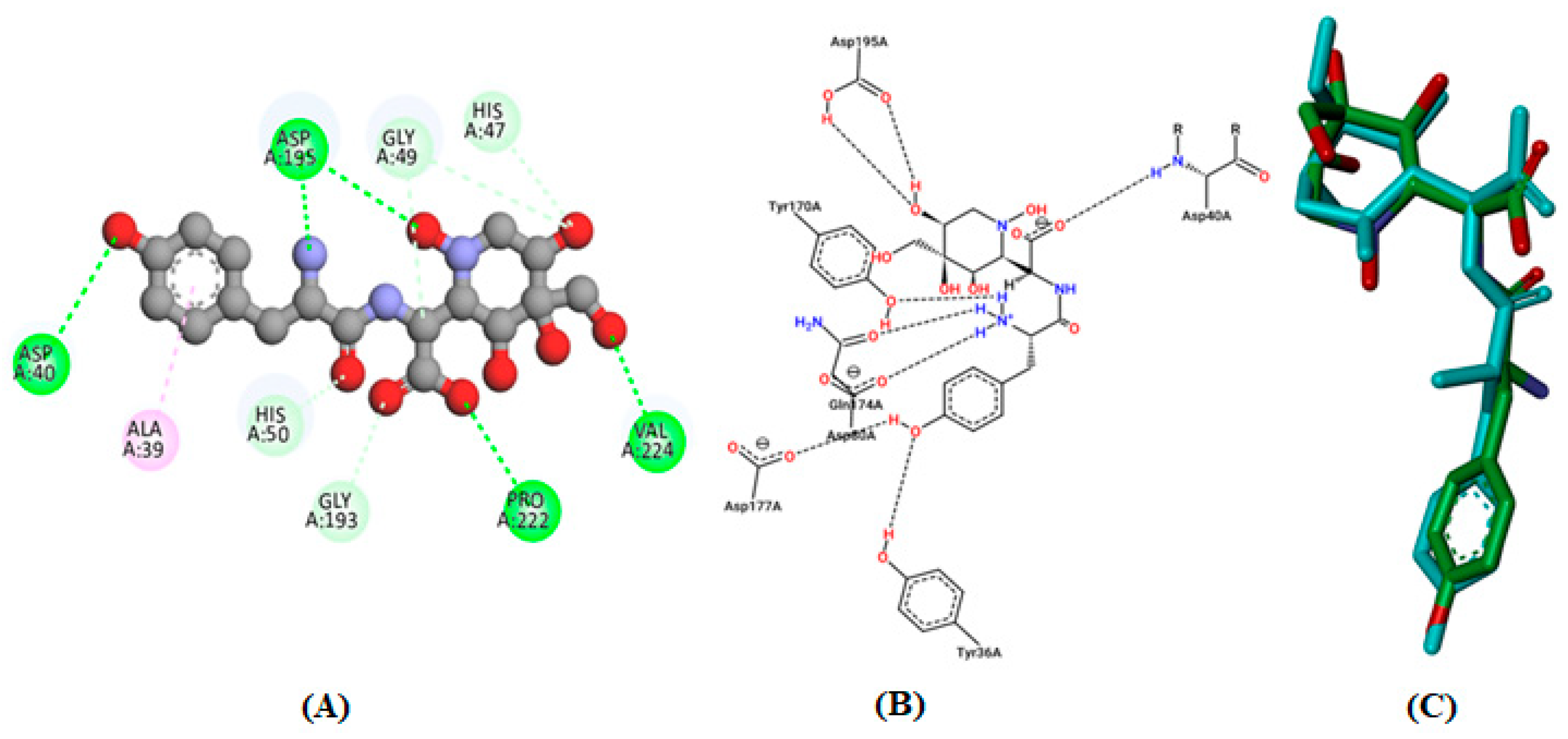 Processes 11 00650 g003