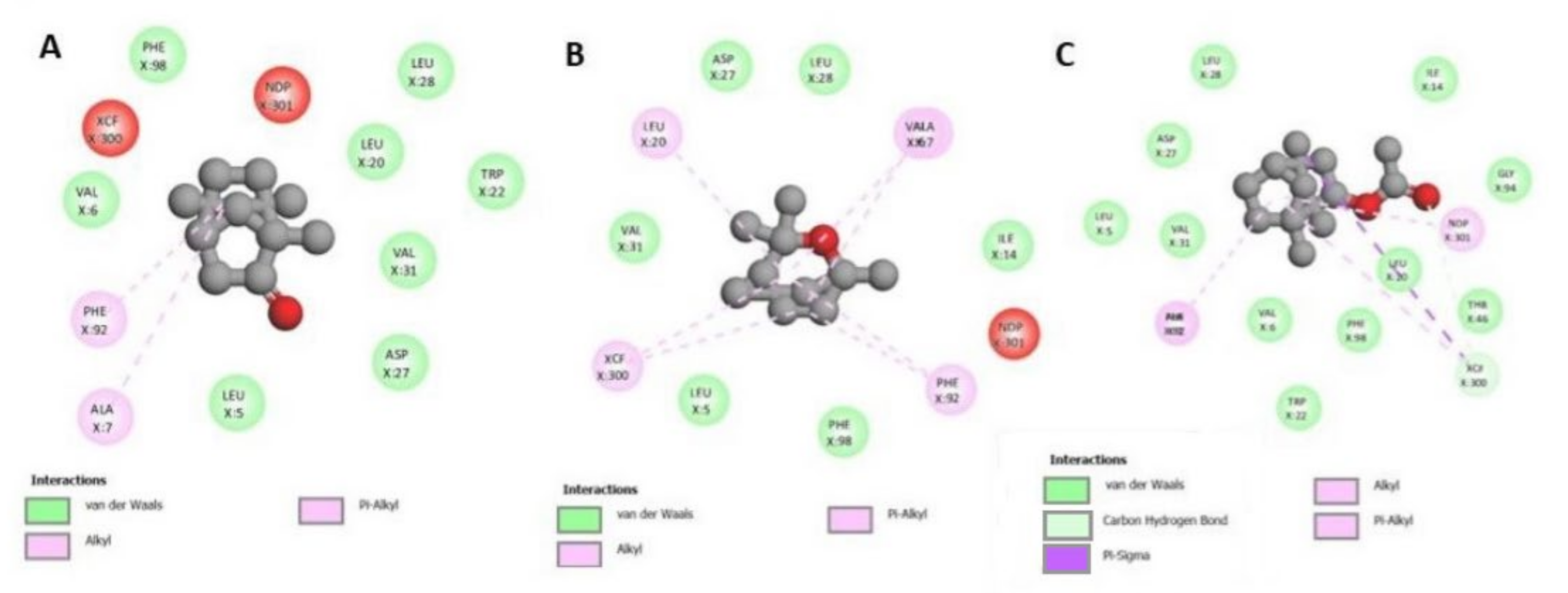 Processes 11 00650 g008
