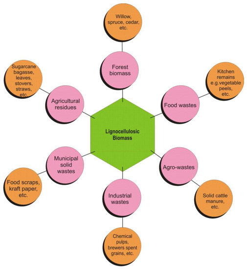 Lactic Acid: A Comprehensive Review of Production to