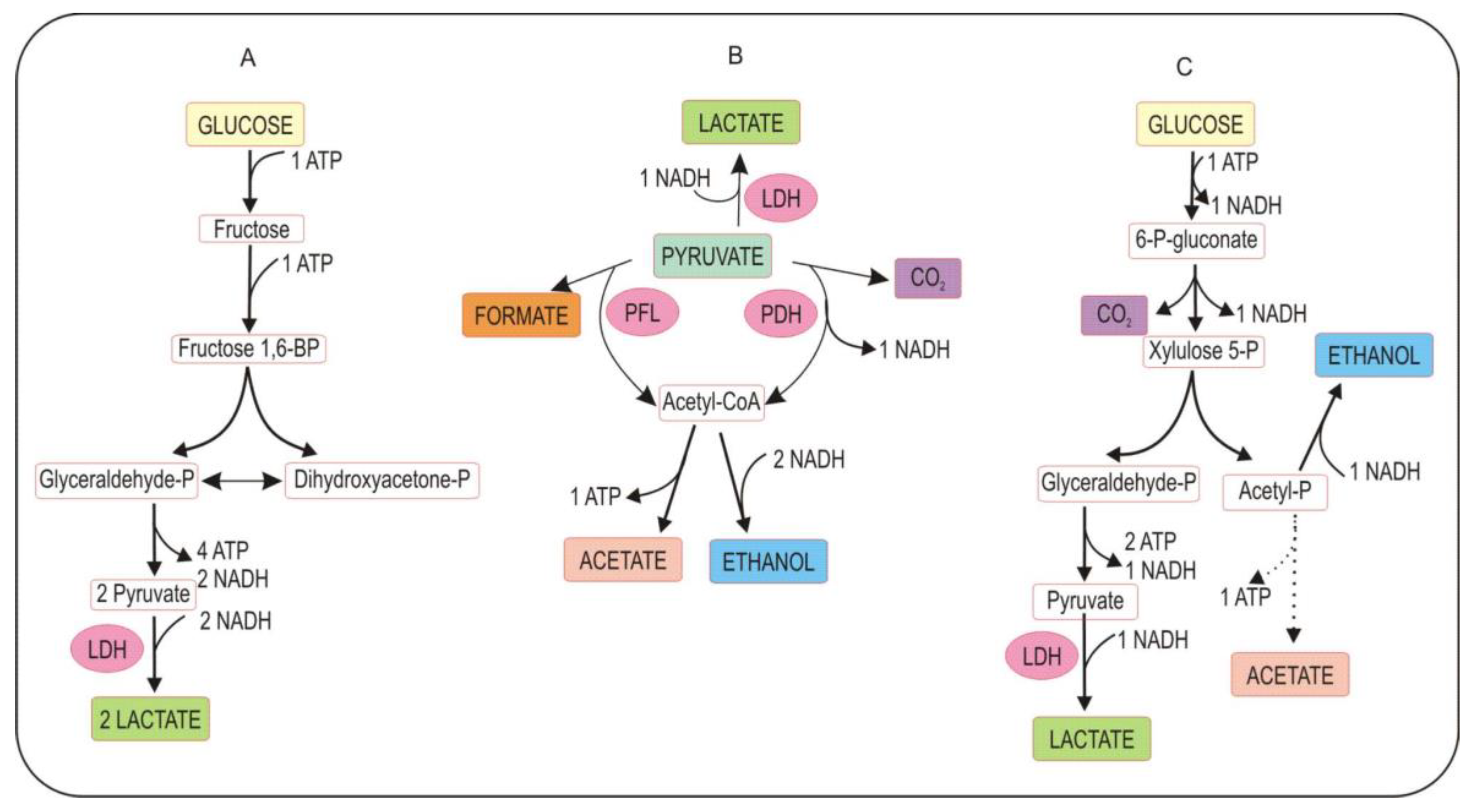 Processes 11 00688 g006
