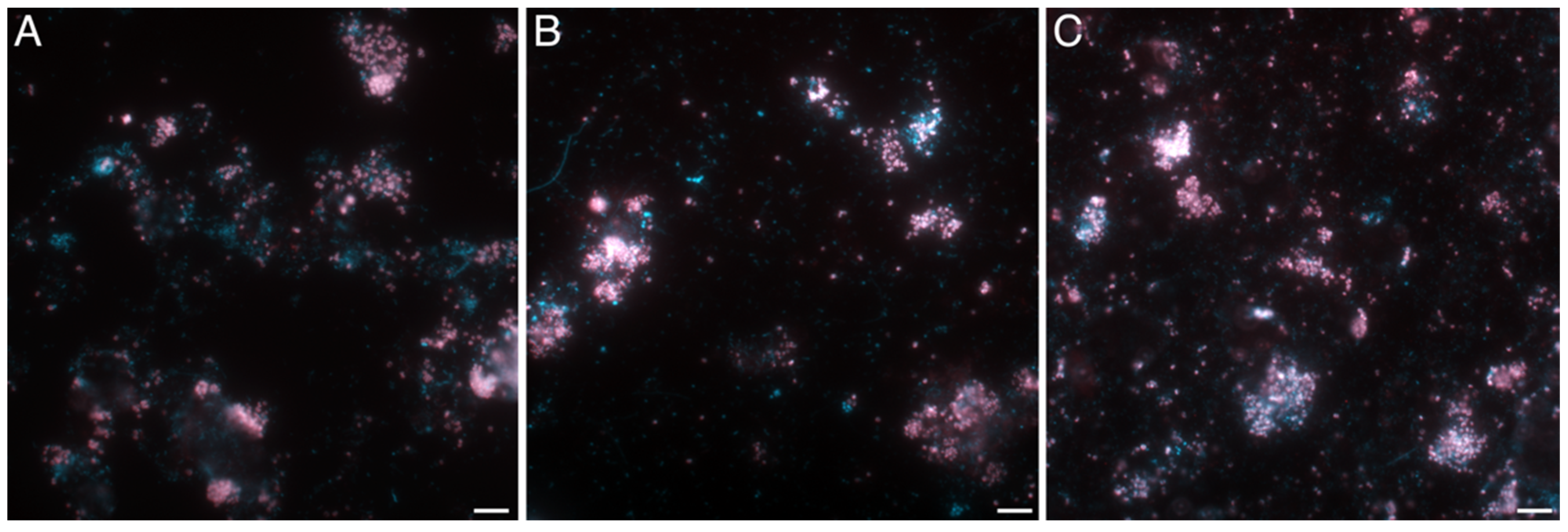Processes 11 00690 g006 Processes 11 00690 g006