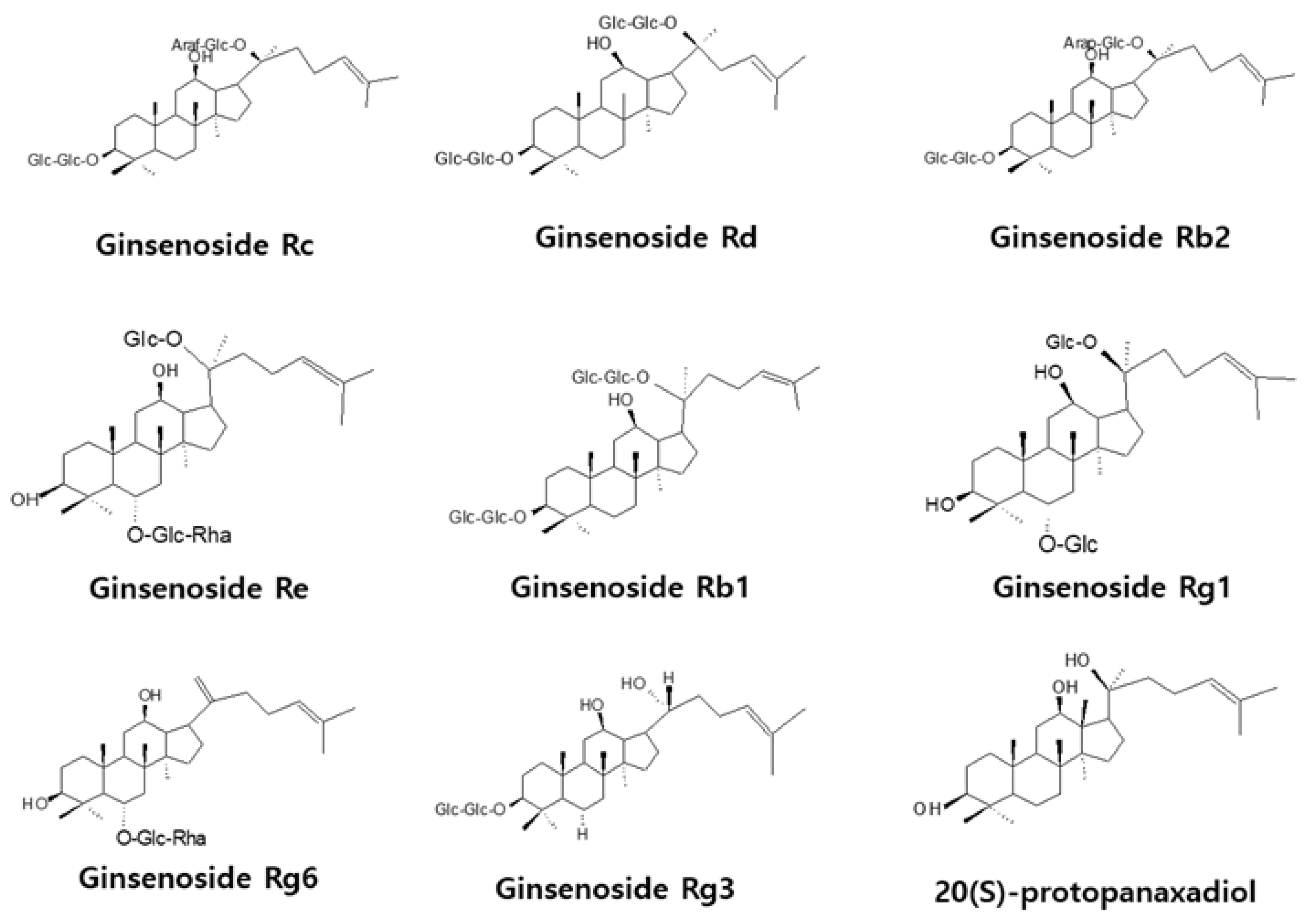 Processes Free FullText Wound Healing Effect of 20(S