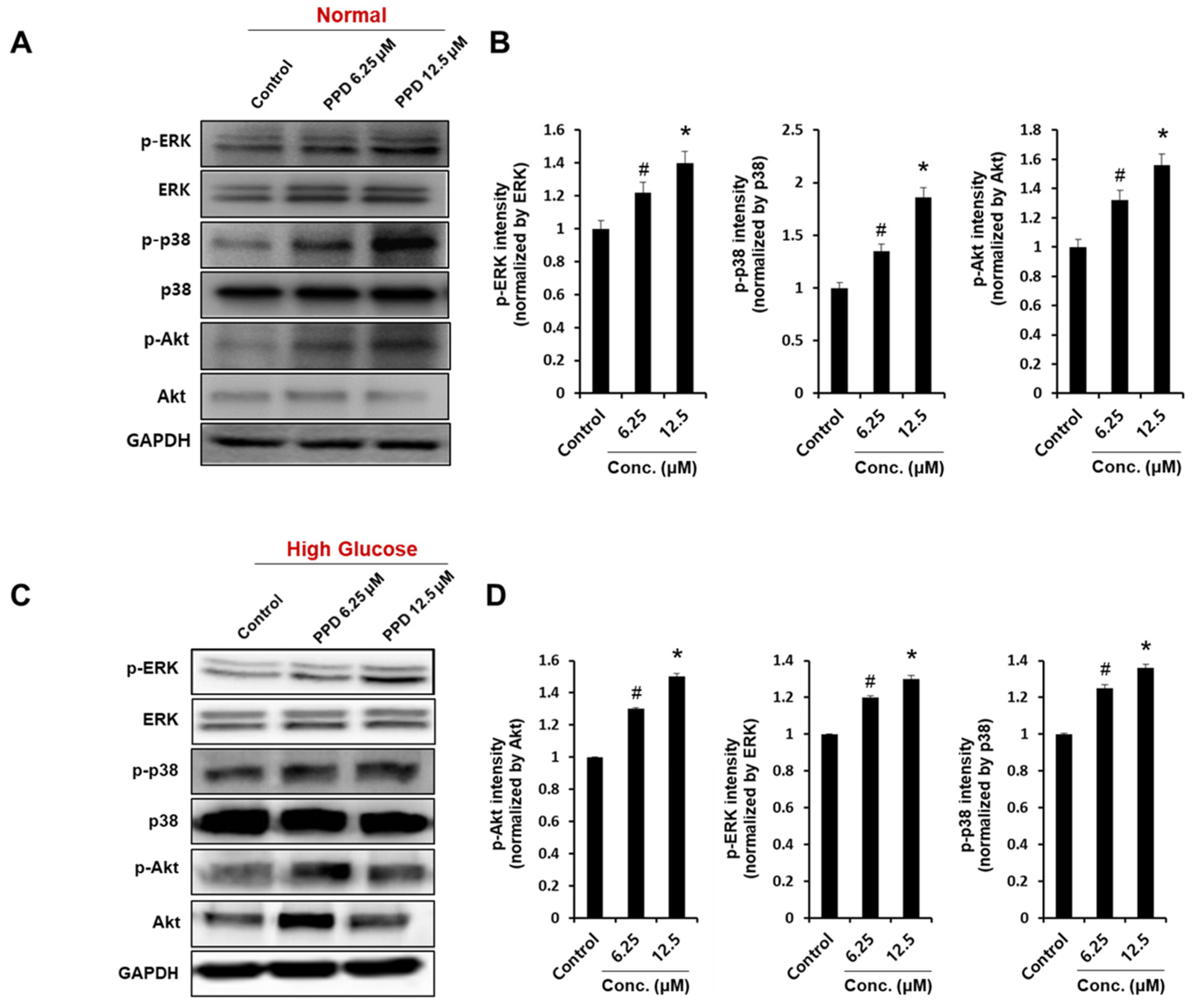 Processes 11 00692 g006 Processes 11 00692 g006