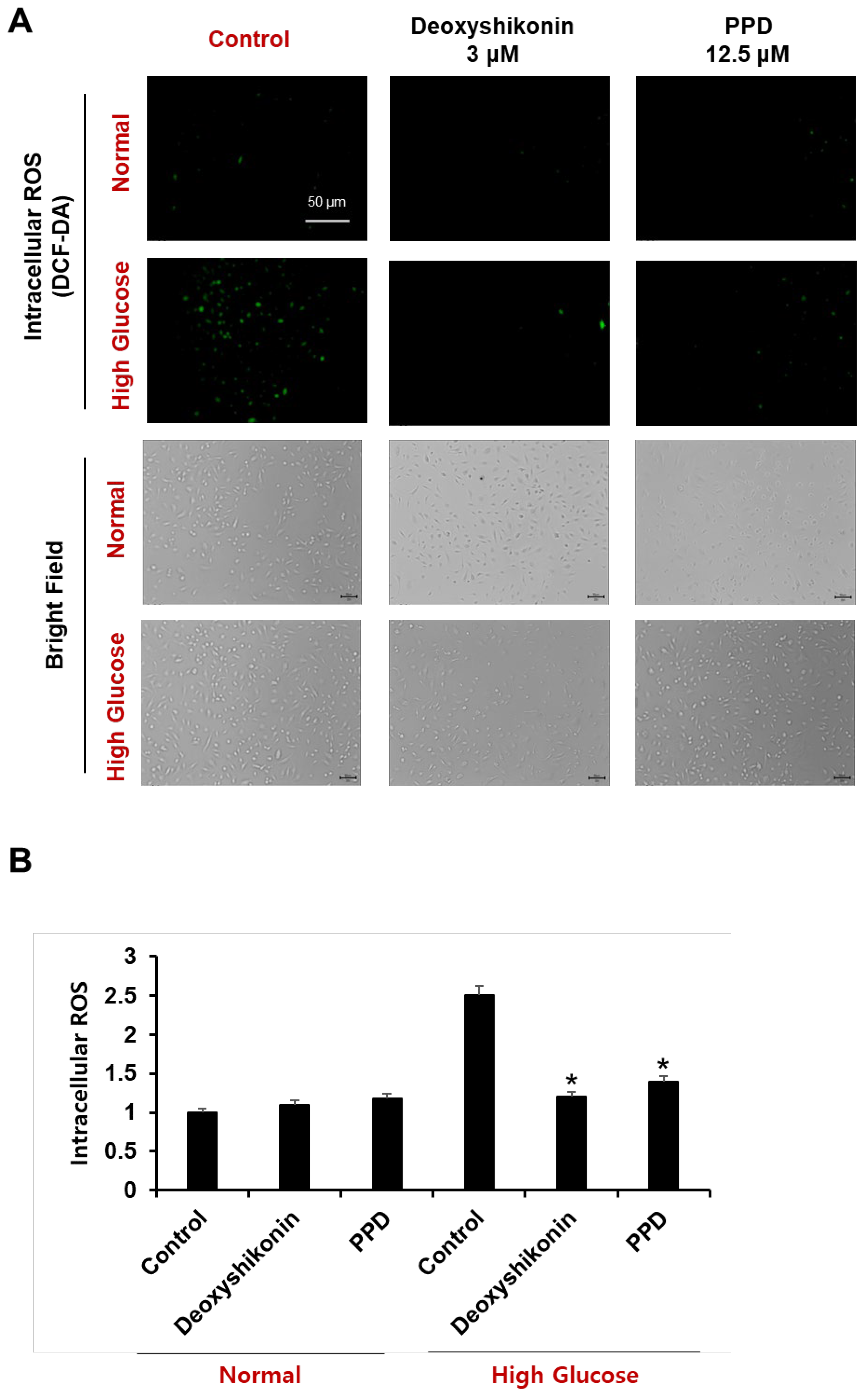 Processes 11 00692 g008 Processes 11 00692 g008