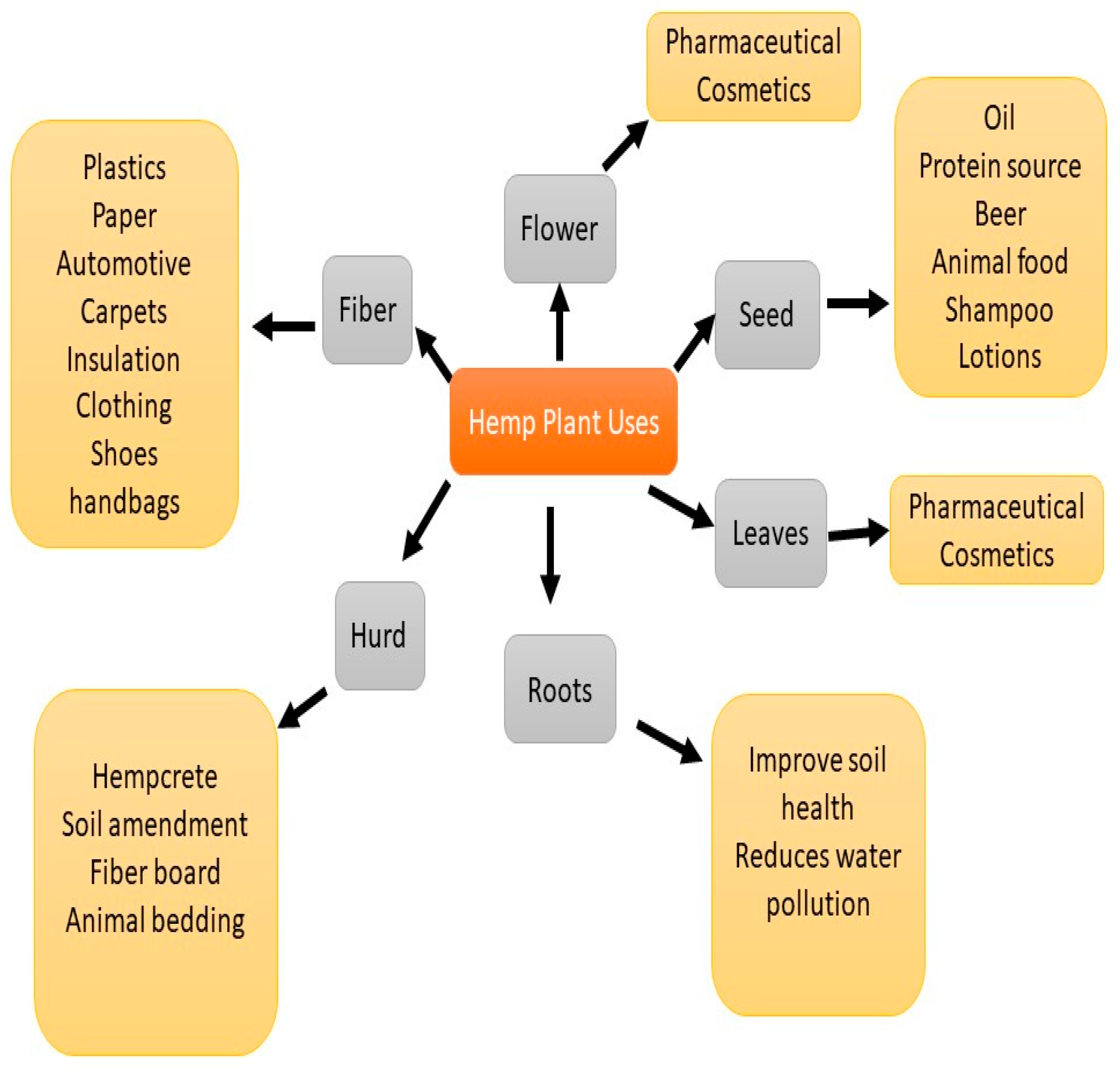 Processes 11 00718 g002