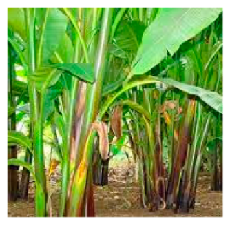 Processes 11 00718 i001