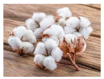 Processes 11 00718 i002