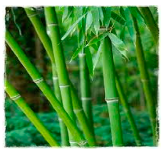 Processes 11 00718 i003