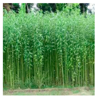 Processes 11 00718 i006