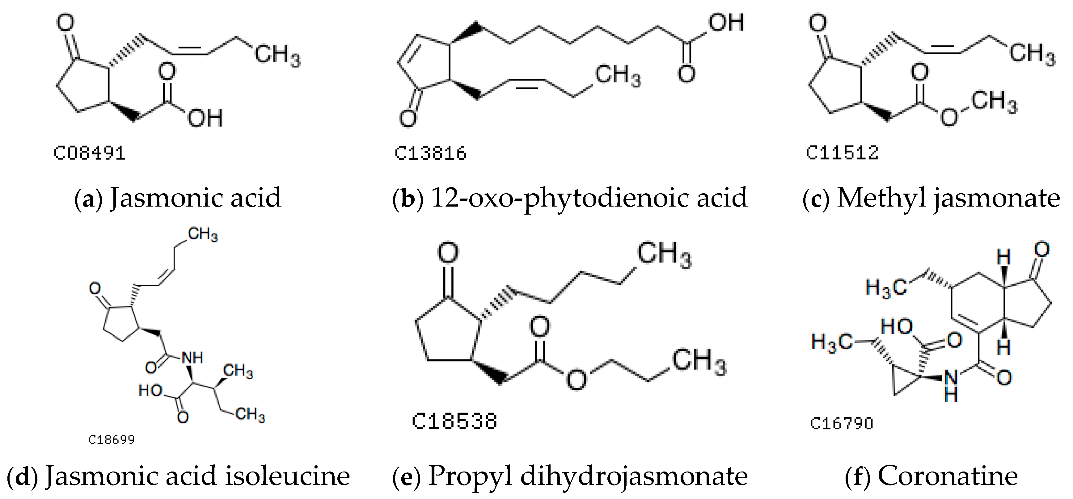 Processes 11 00736 g001 Processes 11 00736 g001