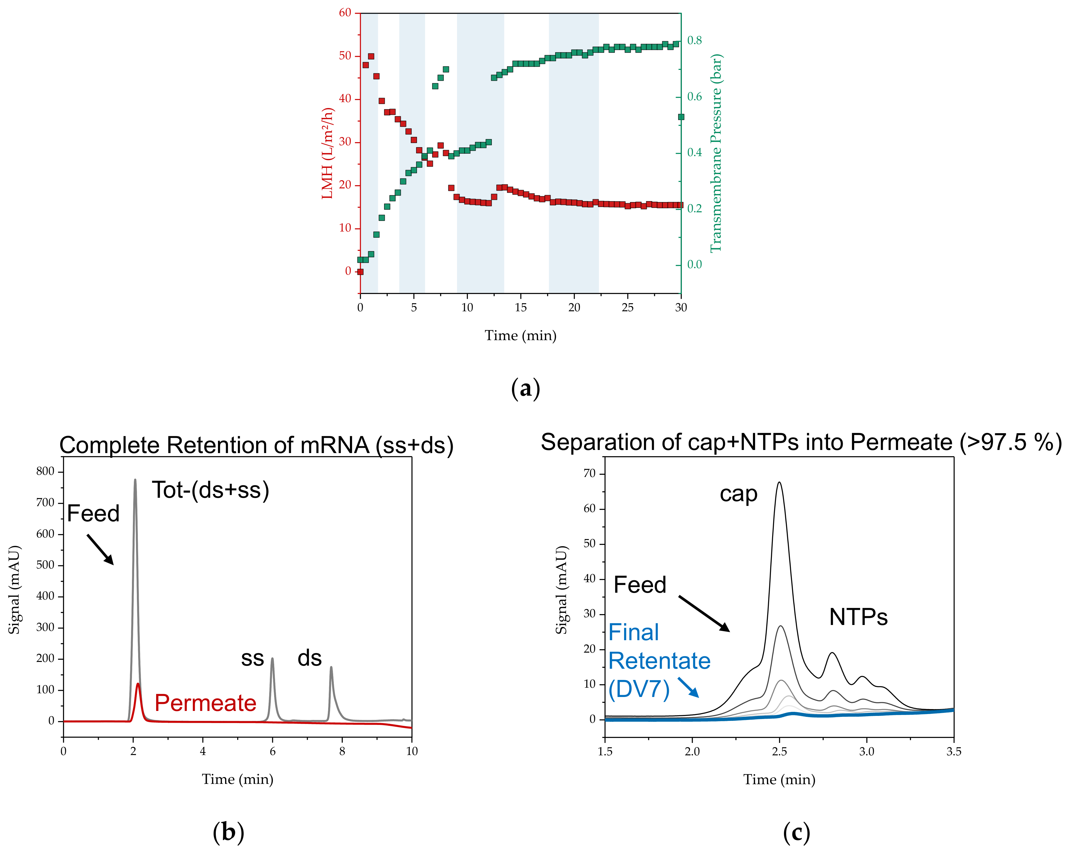 Processes 11 00745 g023