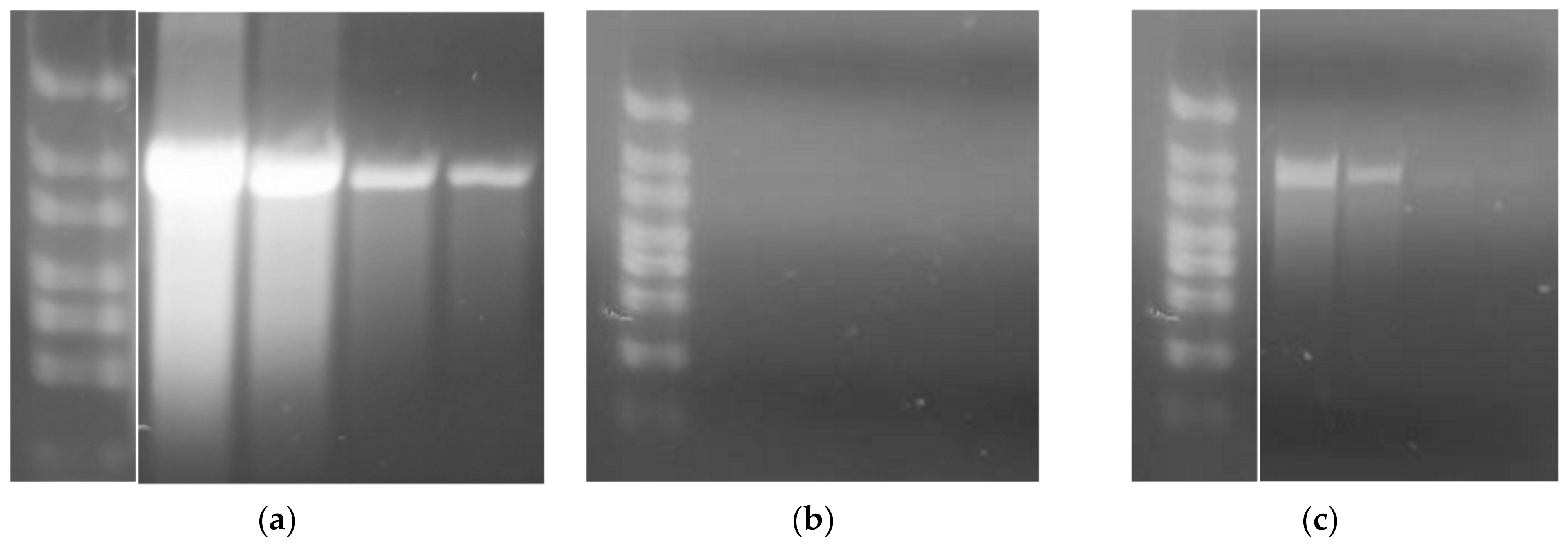 Processes 11 00745 g024