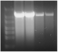 Processes 11 00745 i004