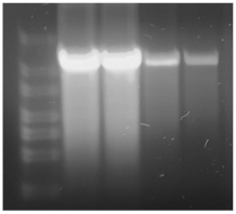 Processes 11 00745 i010