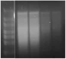 Processes 11 00745 i013