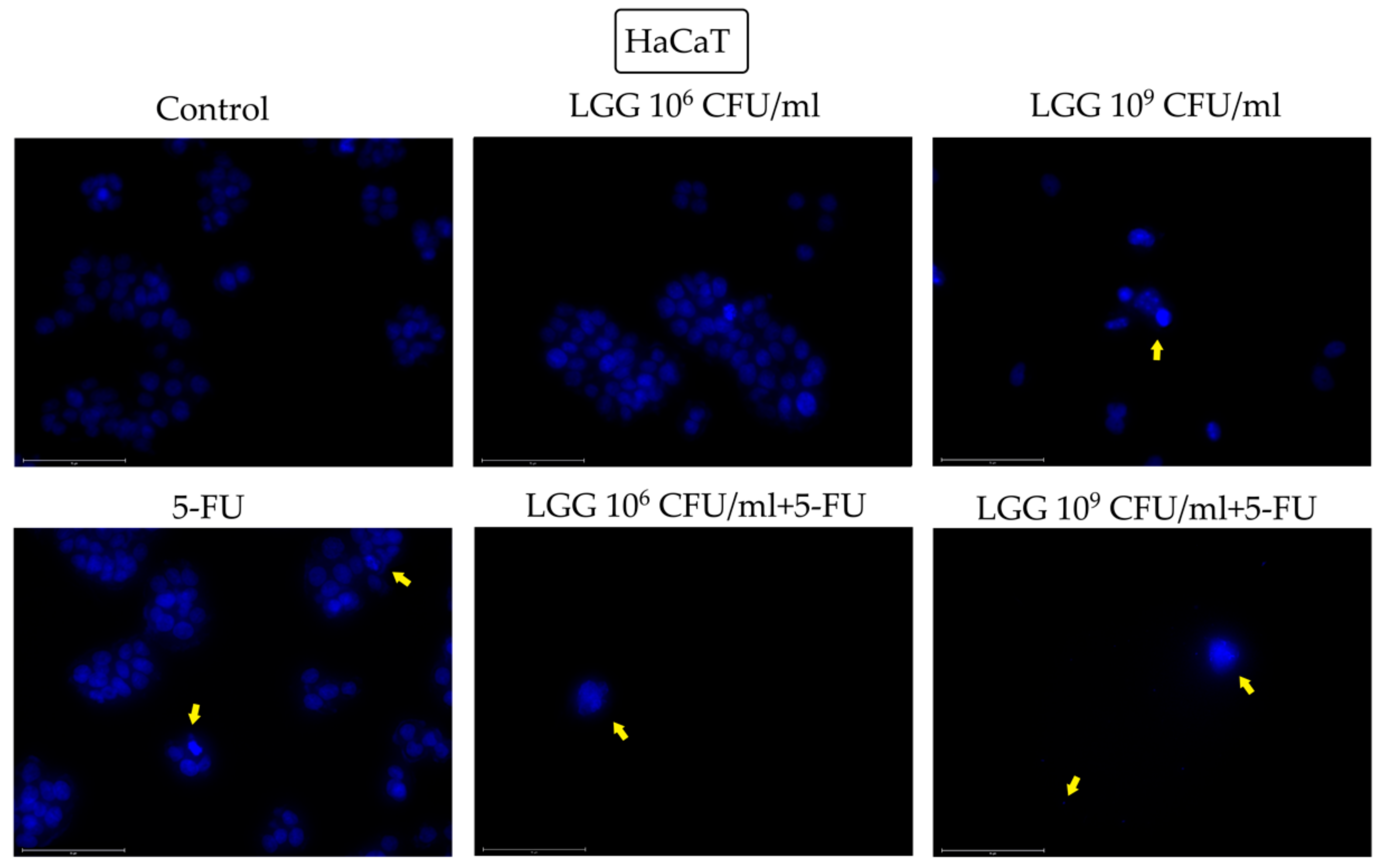 Processes 11 00781 g002 Processes 11 00781 g002