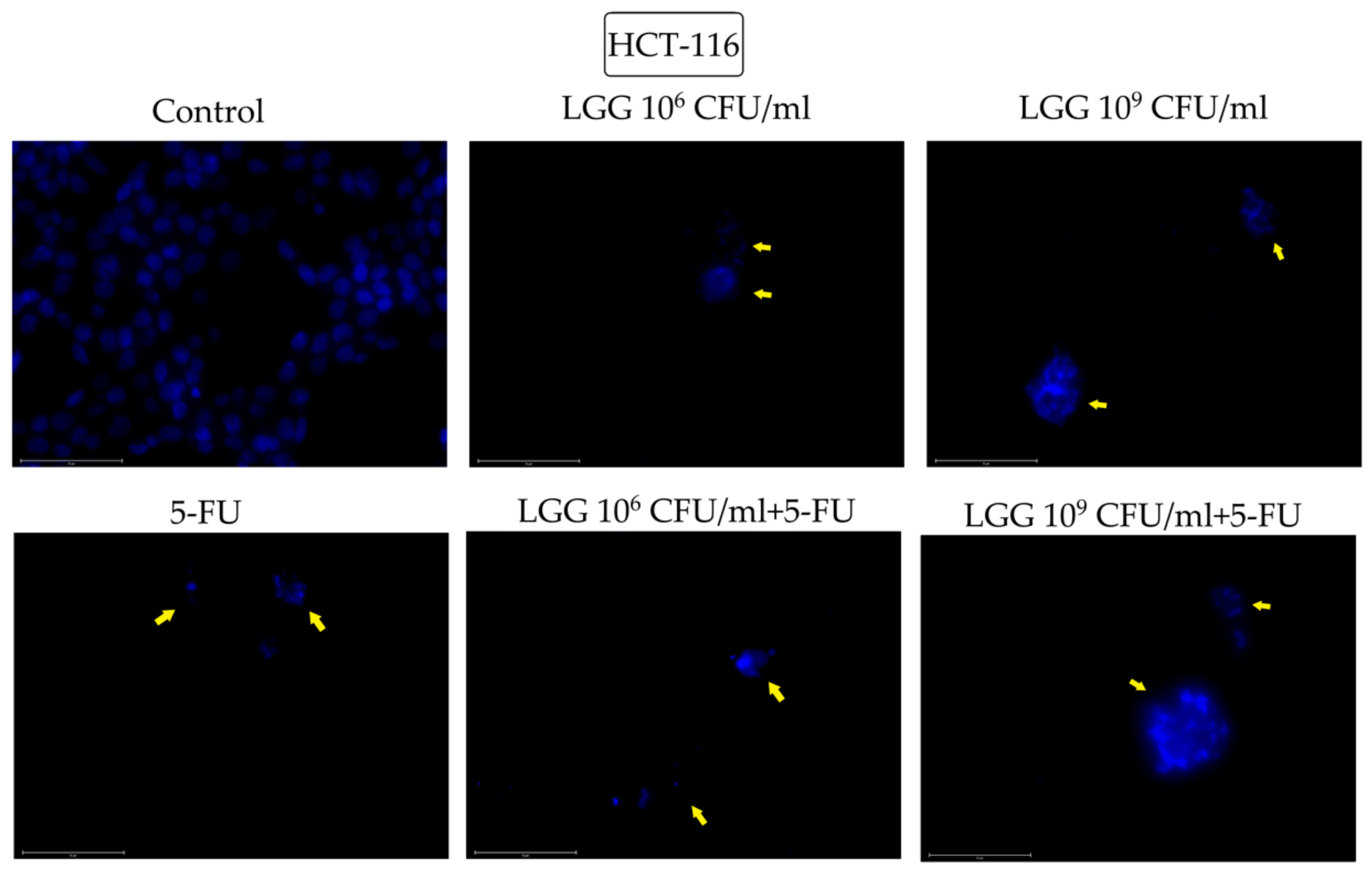 Processes 11 00781 g004 Processes 11 00781 g004