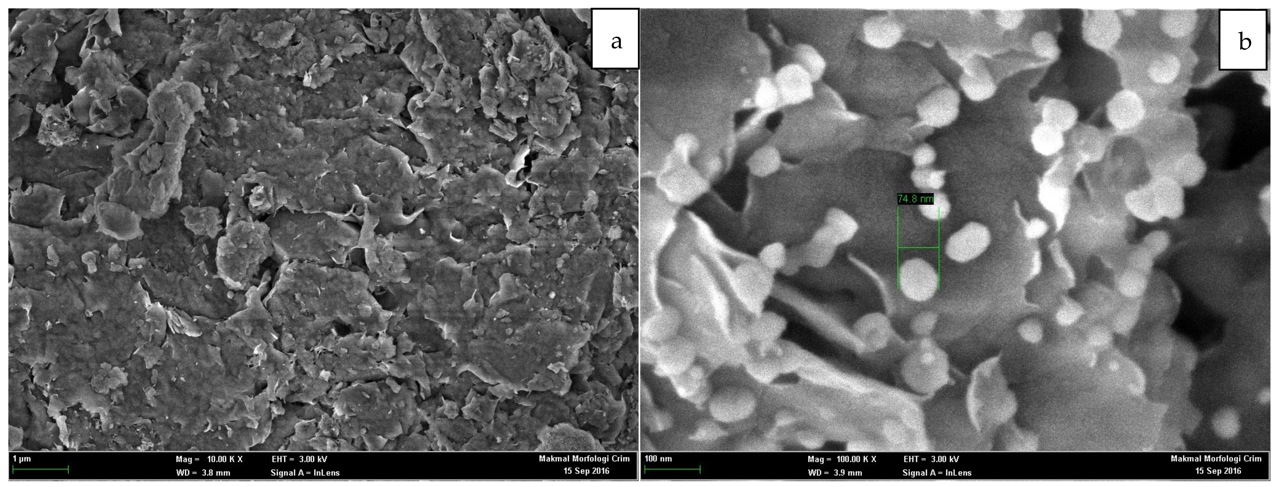 Processes 11 00788 g002
