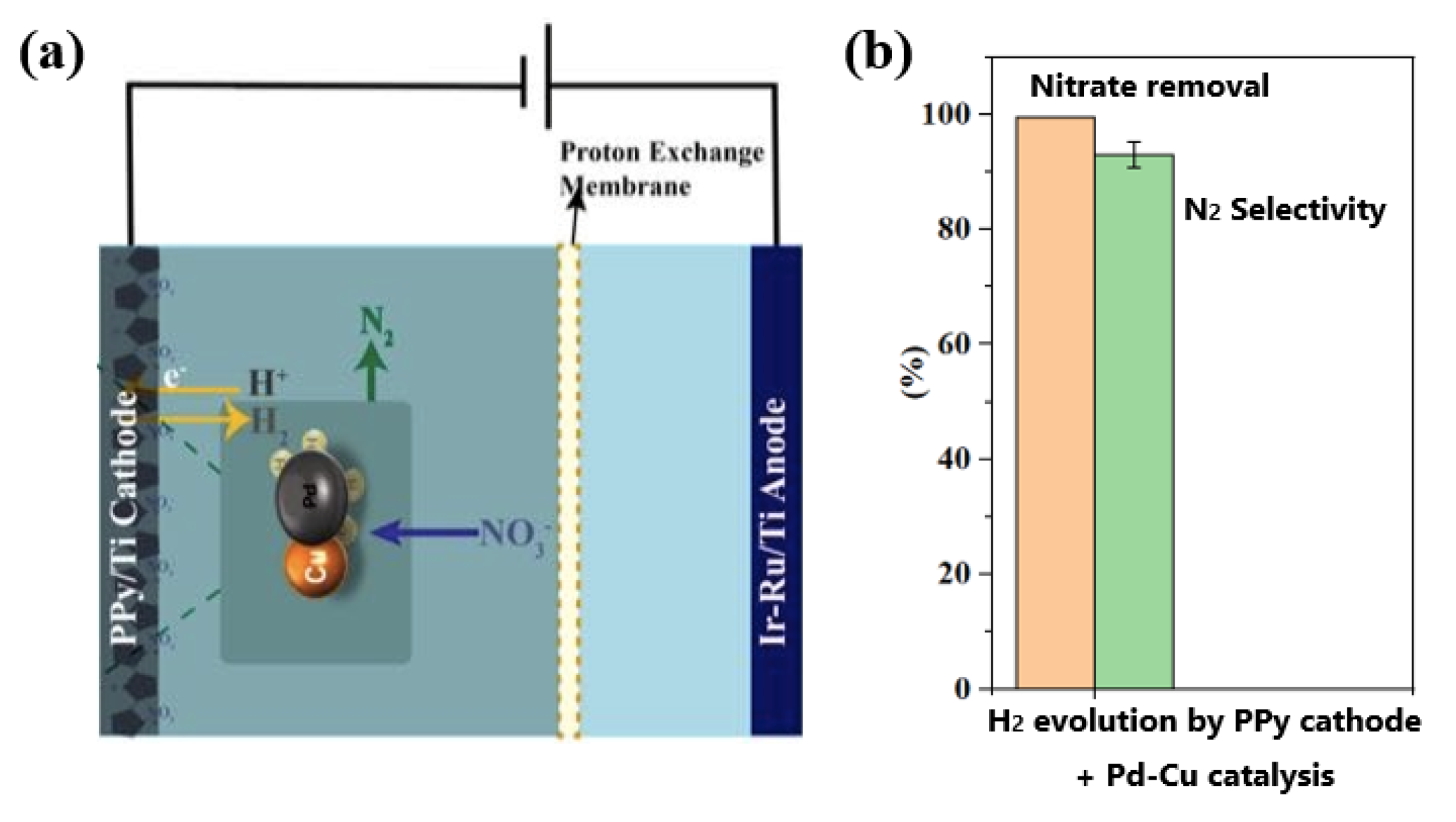 Processes 11 00838 g011