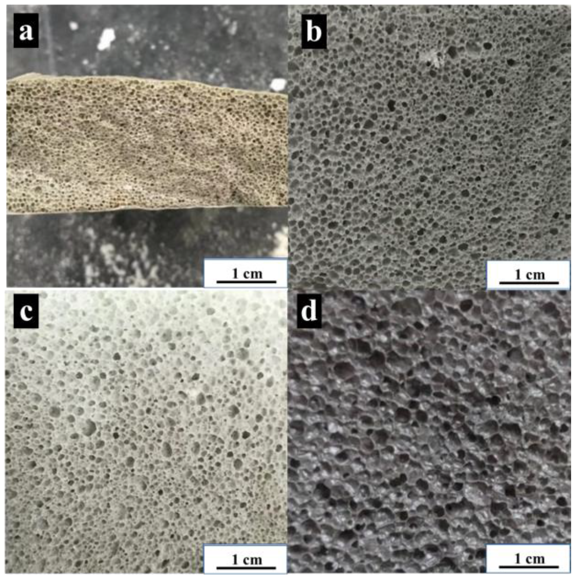 Processes 11 00844 g008 550