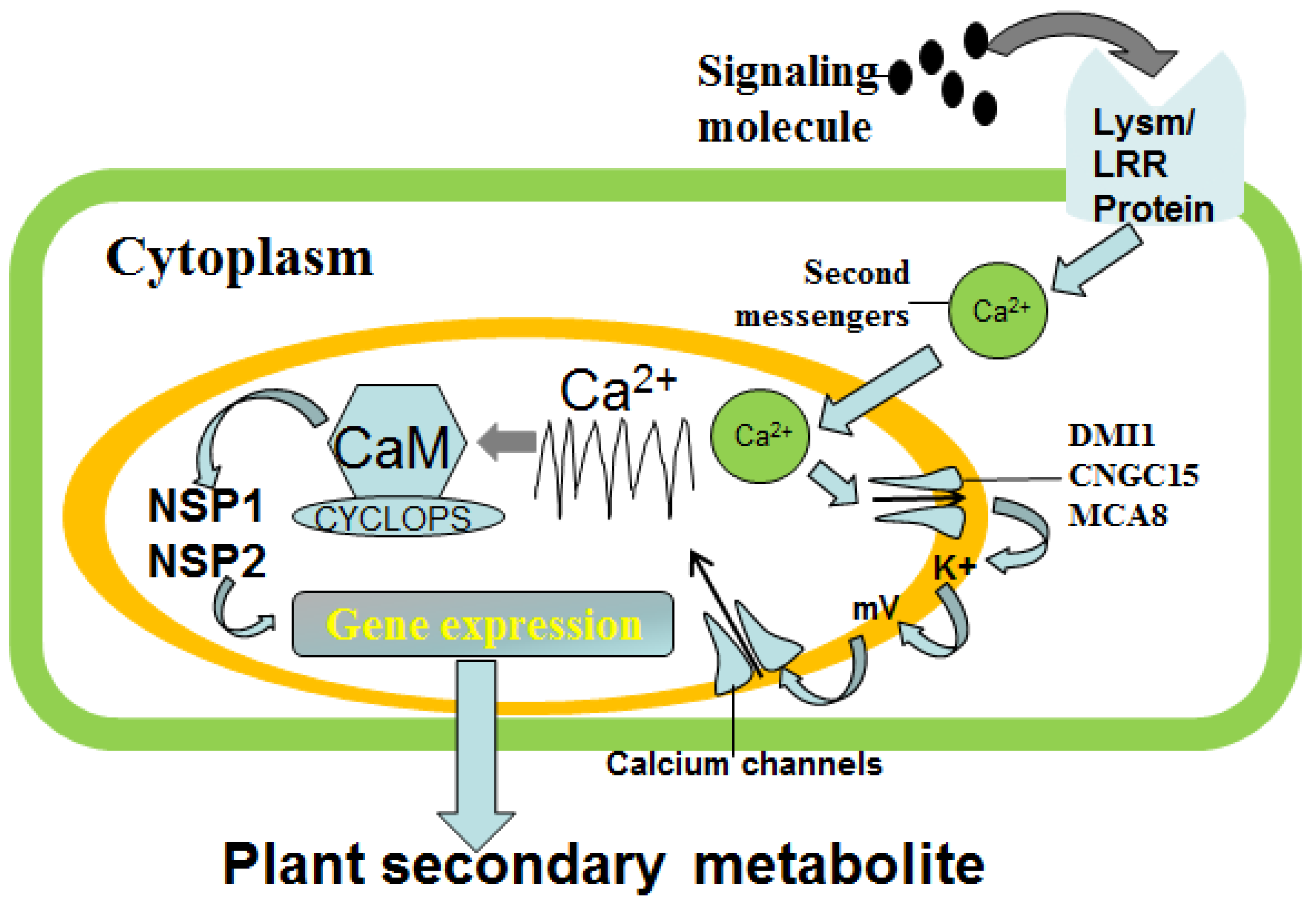 Processes 11 00849 g002