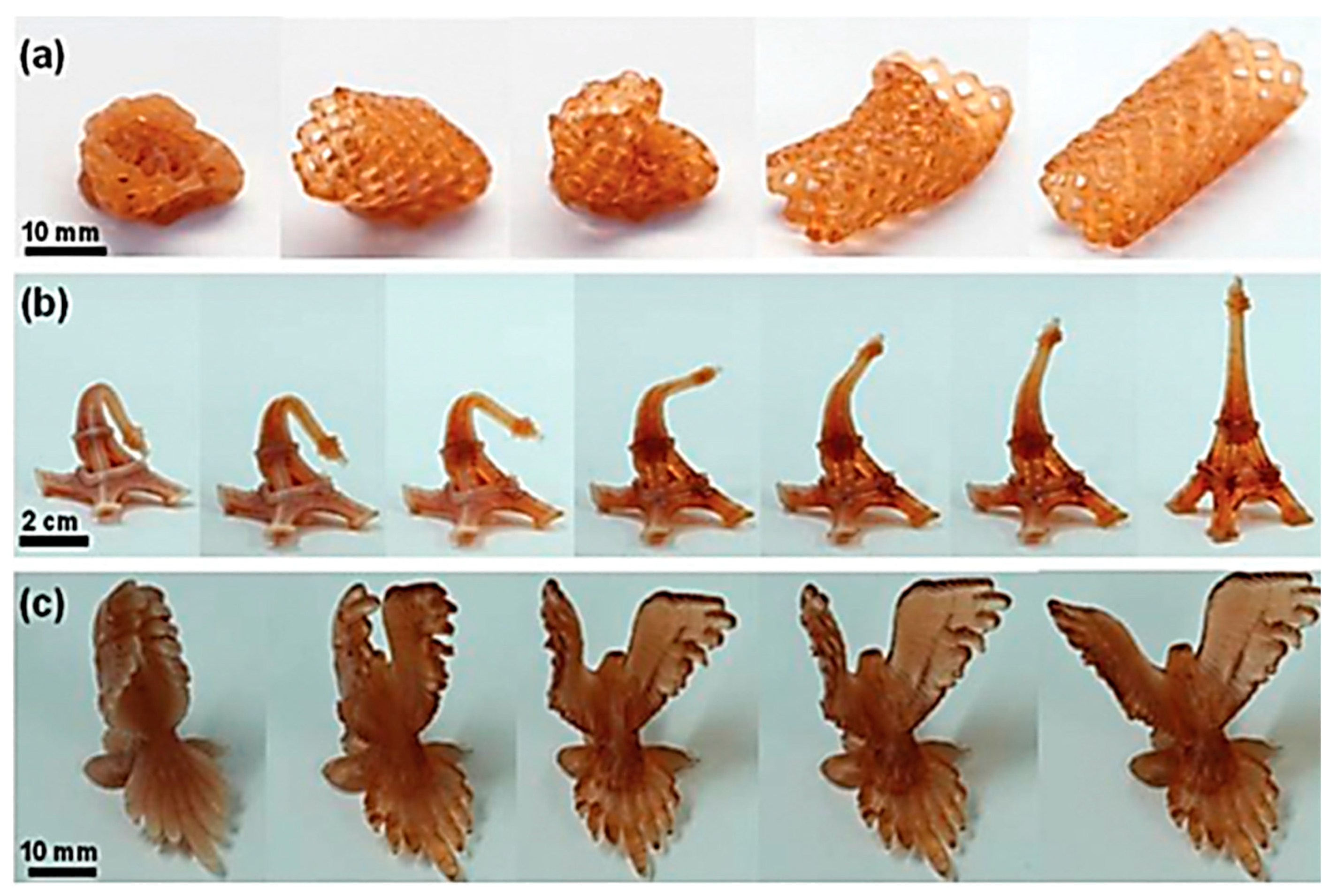 Processes 11 00868 g011