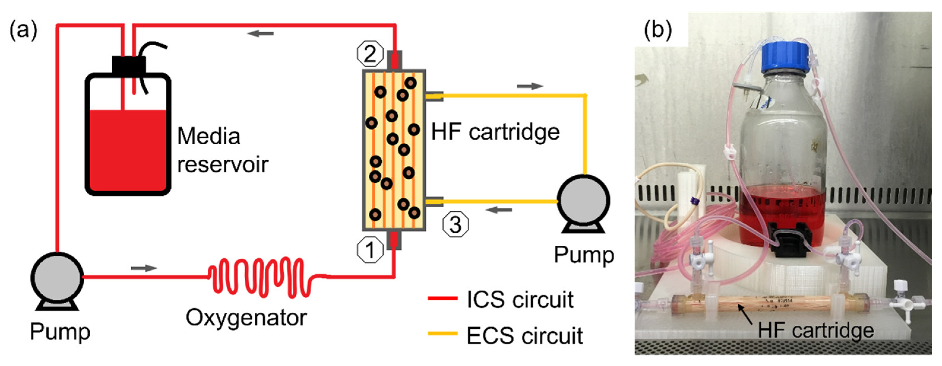 Processes 11 00889 g001