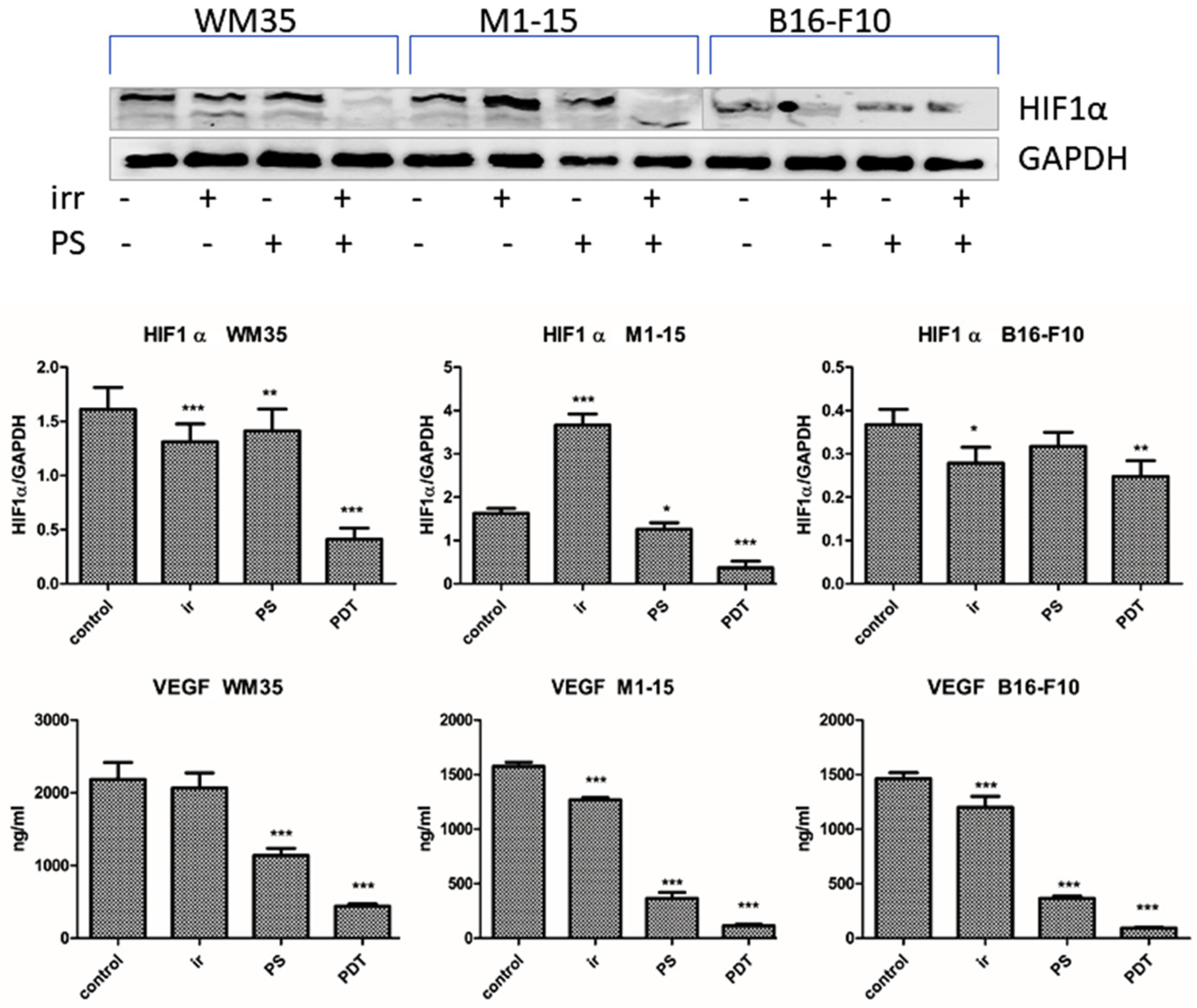 Processes 11 00917 g007 Processes 11 00917 g007
