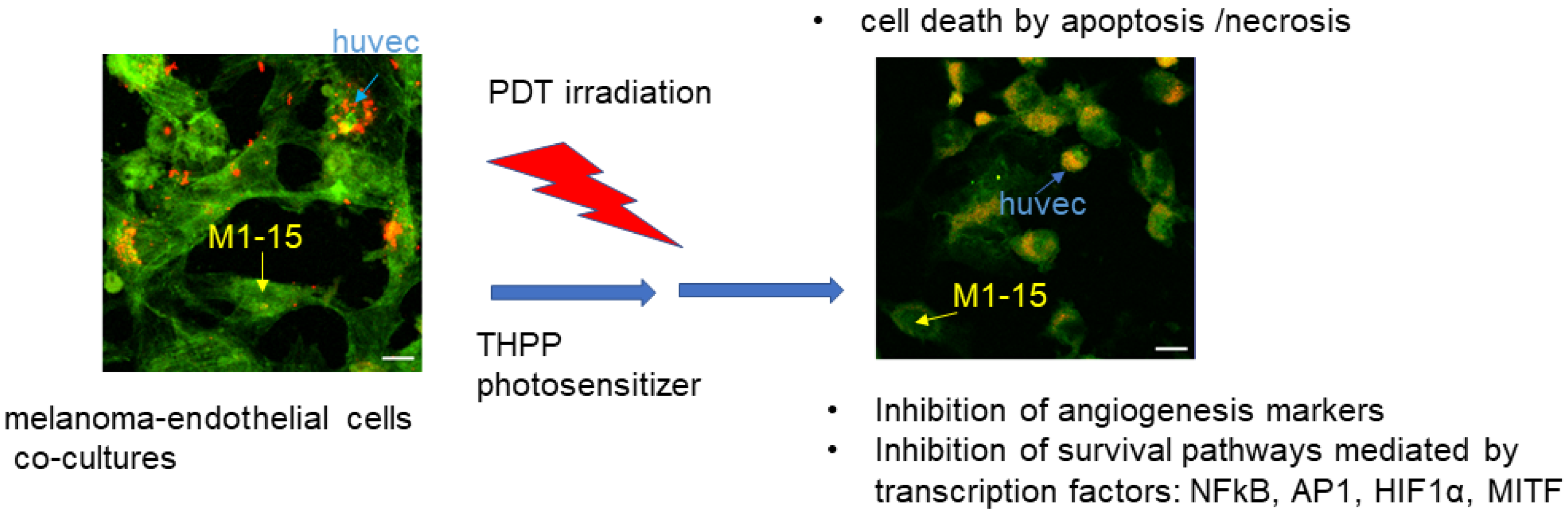 Processes 11 00917 g010 Processes 11 00917 g010