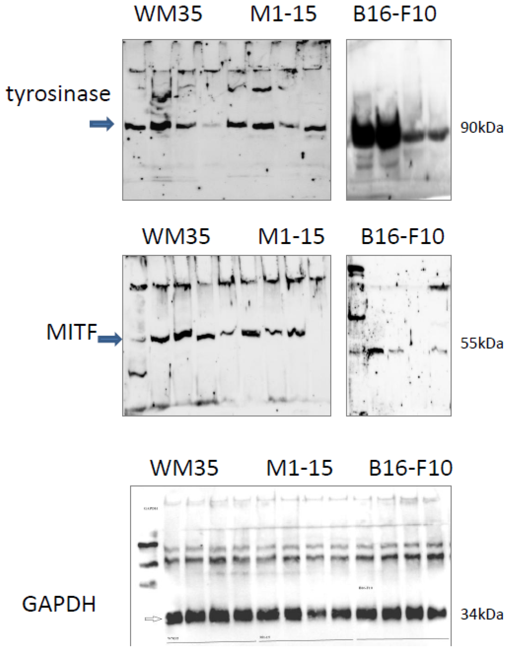 Processes 11 00917 g0a2 Processes 11 00917 g0a2