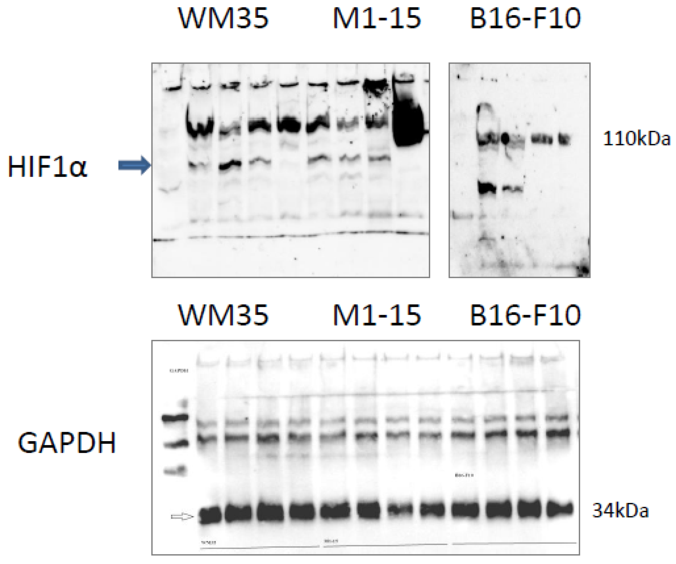 Processes 11 00917 g0a3 Processes 11 00917 g0a3