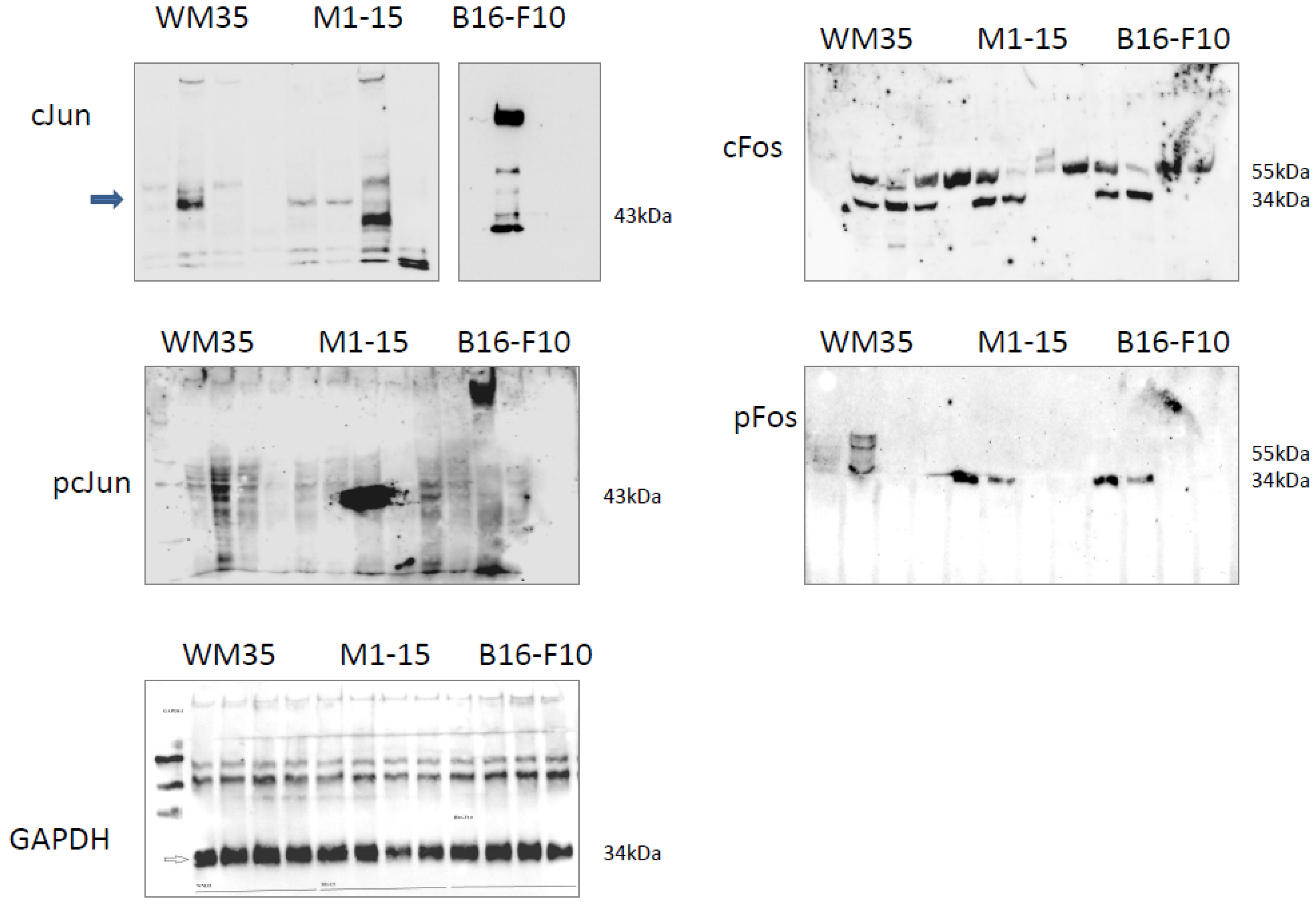 Processes 11 00917 g0a4 Processes 11 00917 g0a4