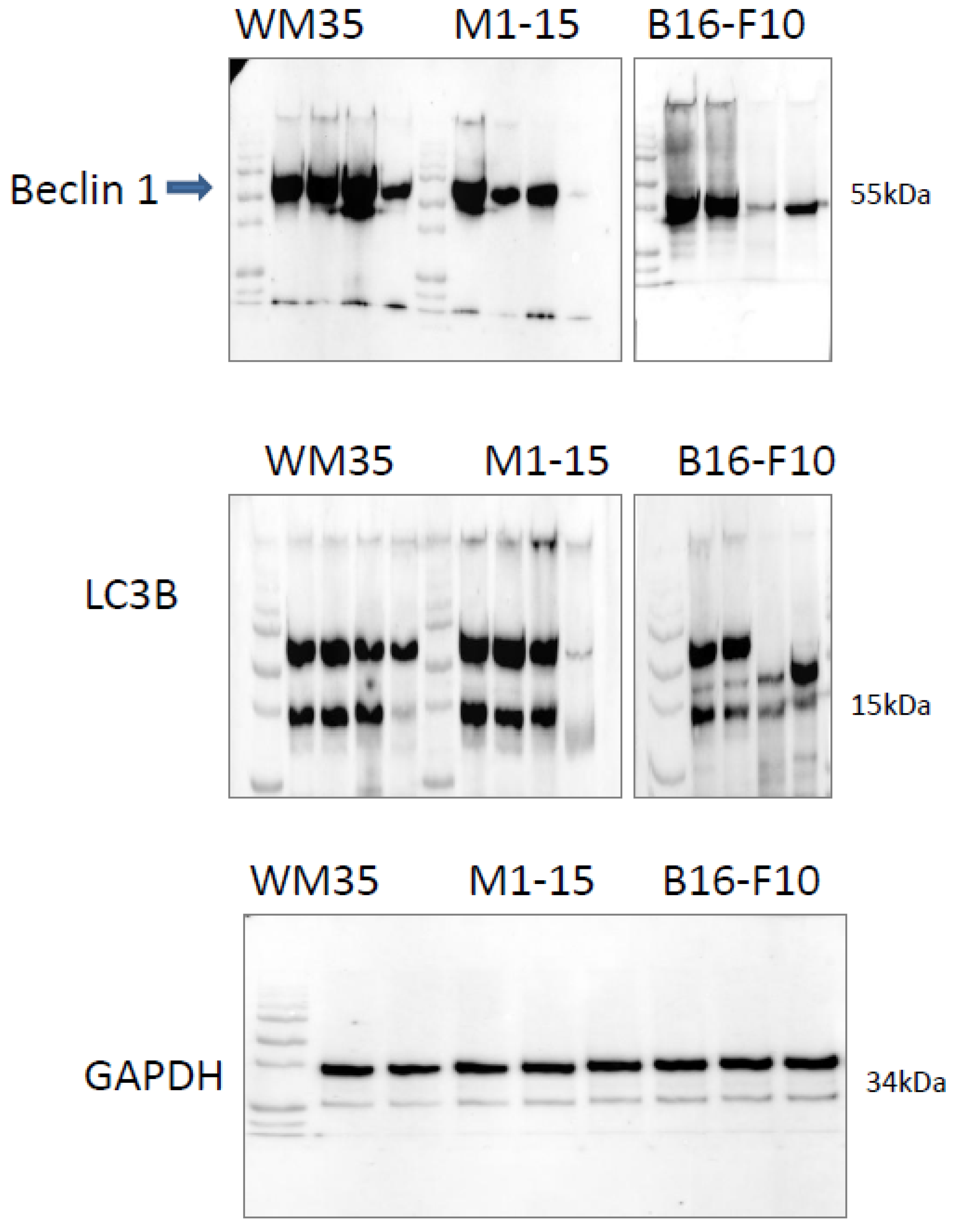 Processes 11 00917 g0a5 Processes 11 00917 g0a5