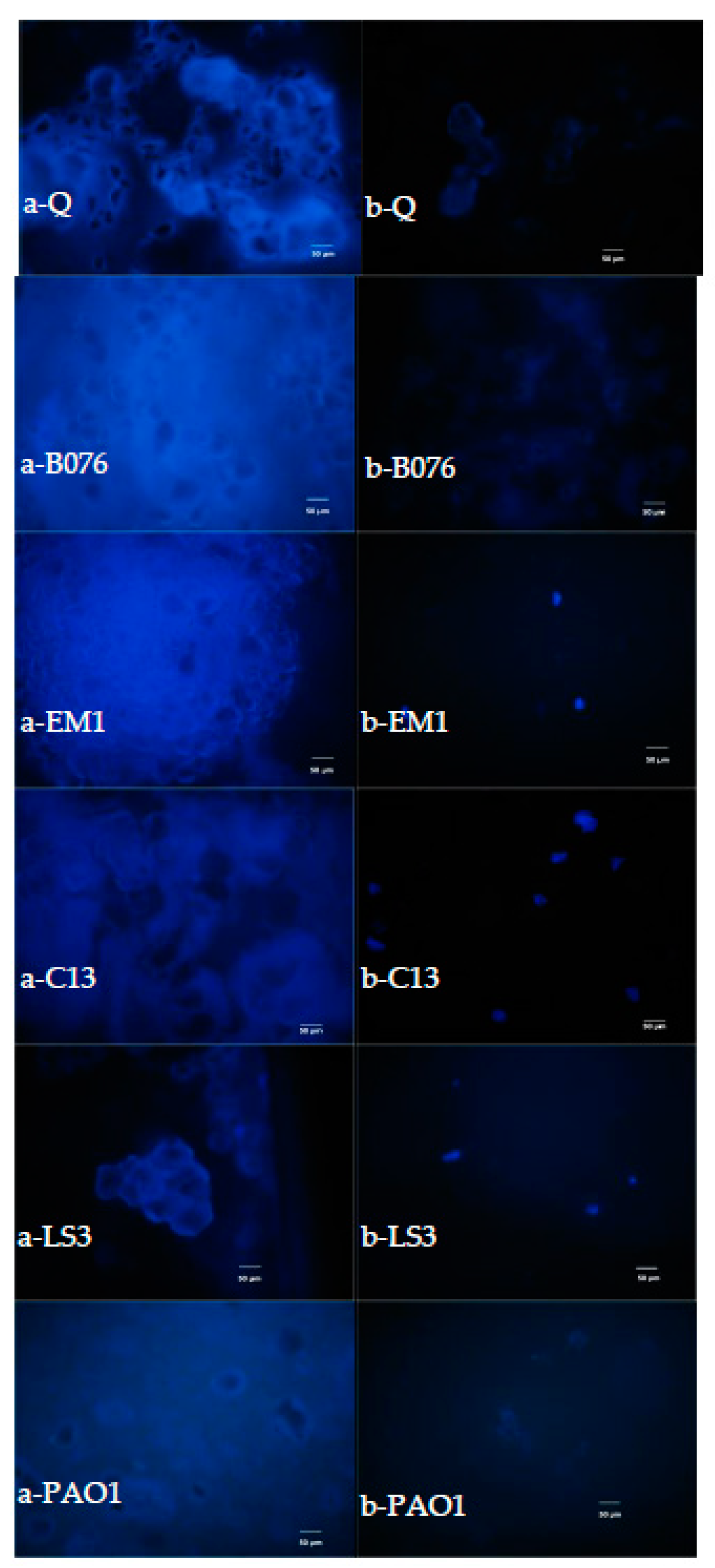 Processes 11 00933 g005 Processes 11 00933 g005