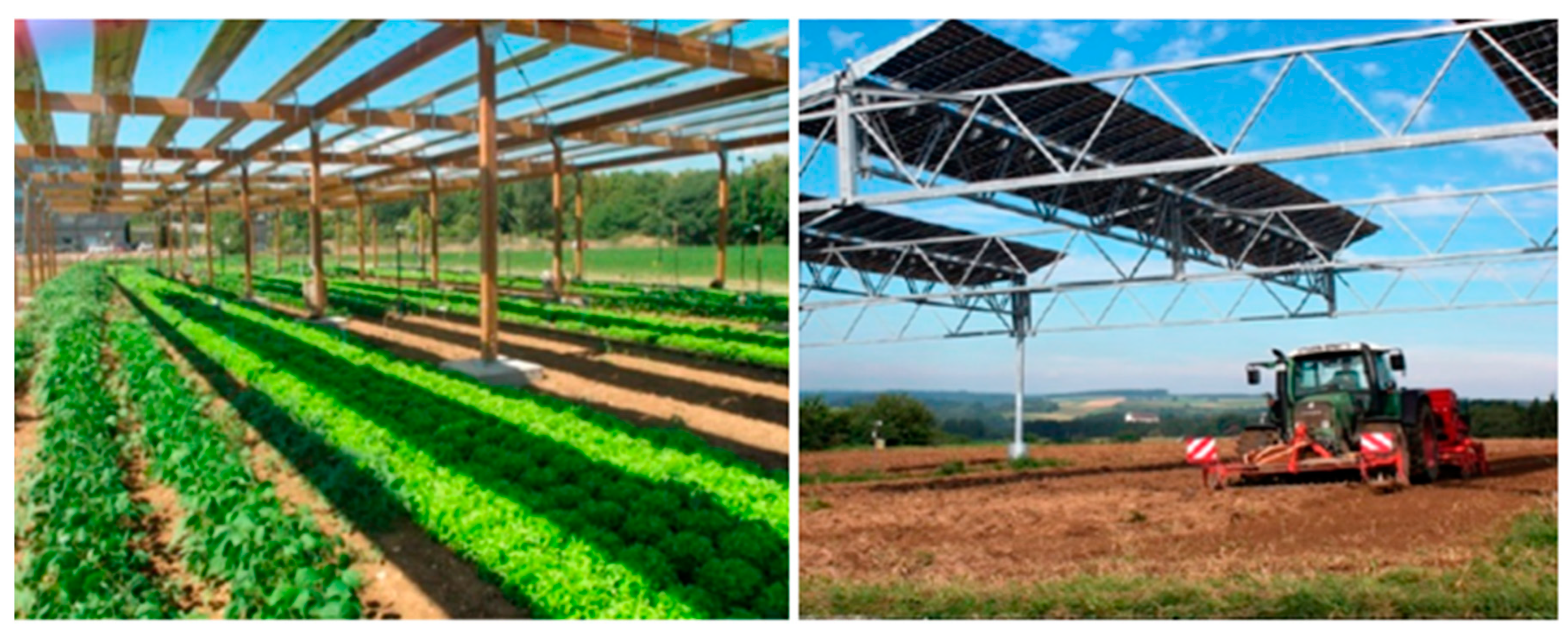 Processes 11 00948 g004