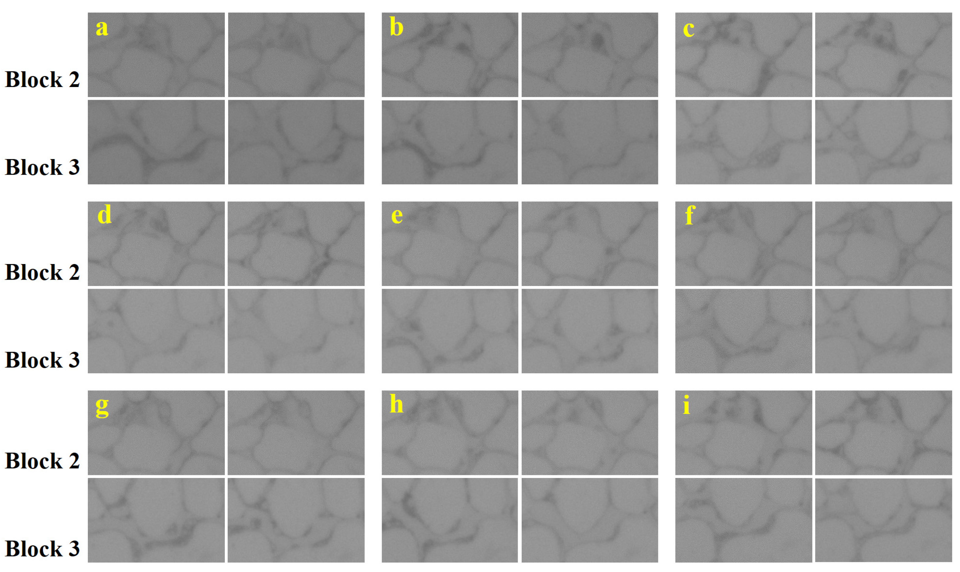 Processes 11 00957 g008 Processes 11 00957 g008