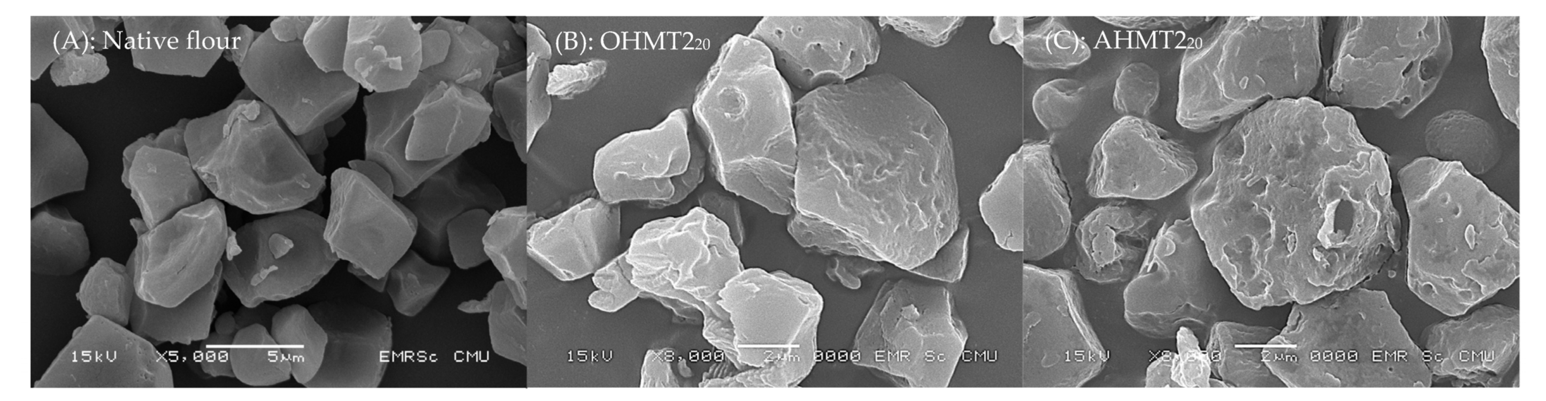 Processes 11 00969 g004